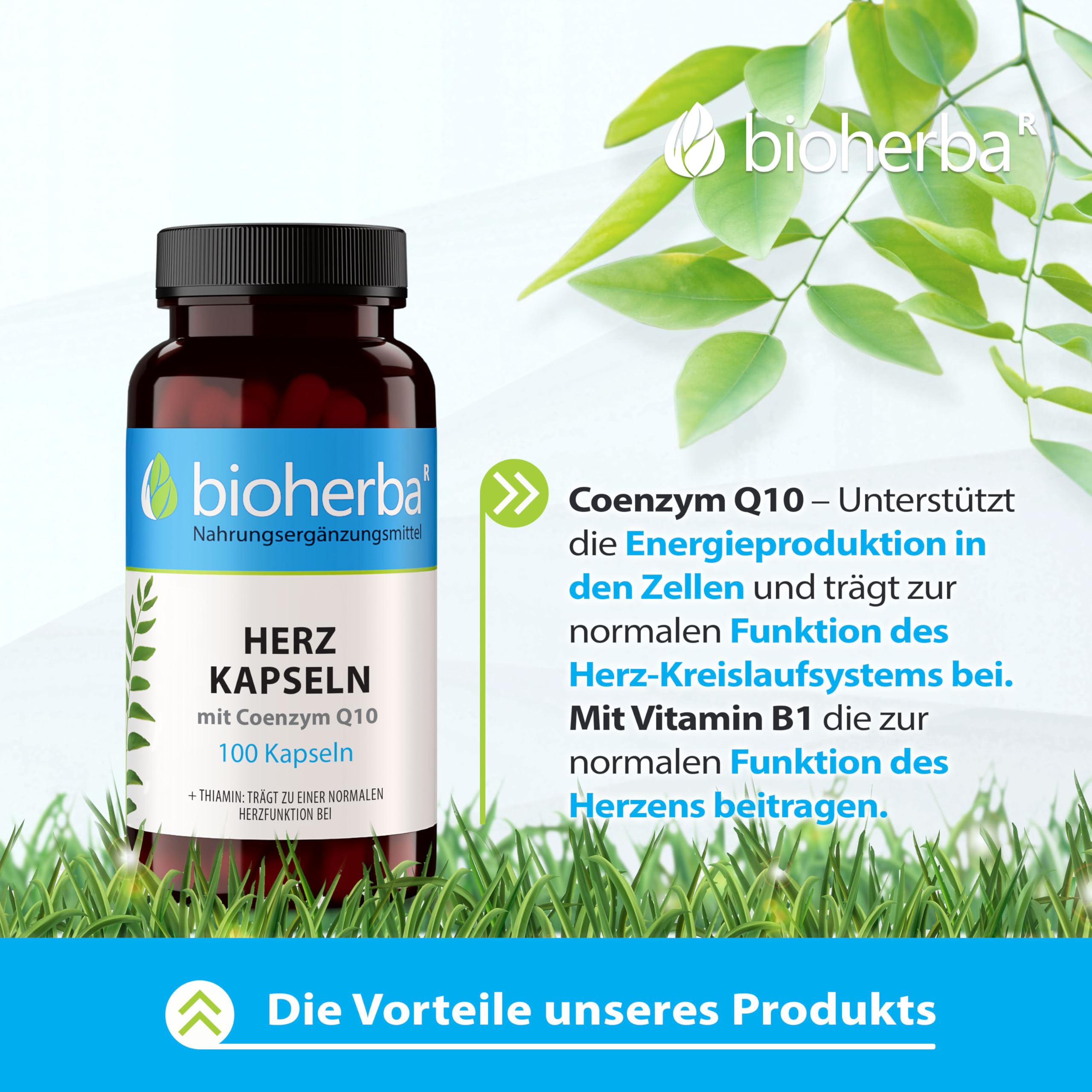 Bioherba Heart Essentials 100 Kapseln – Nahrungsergänzung mit Weißdorn, Kalium und Magnesium
