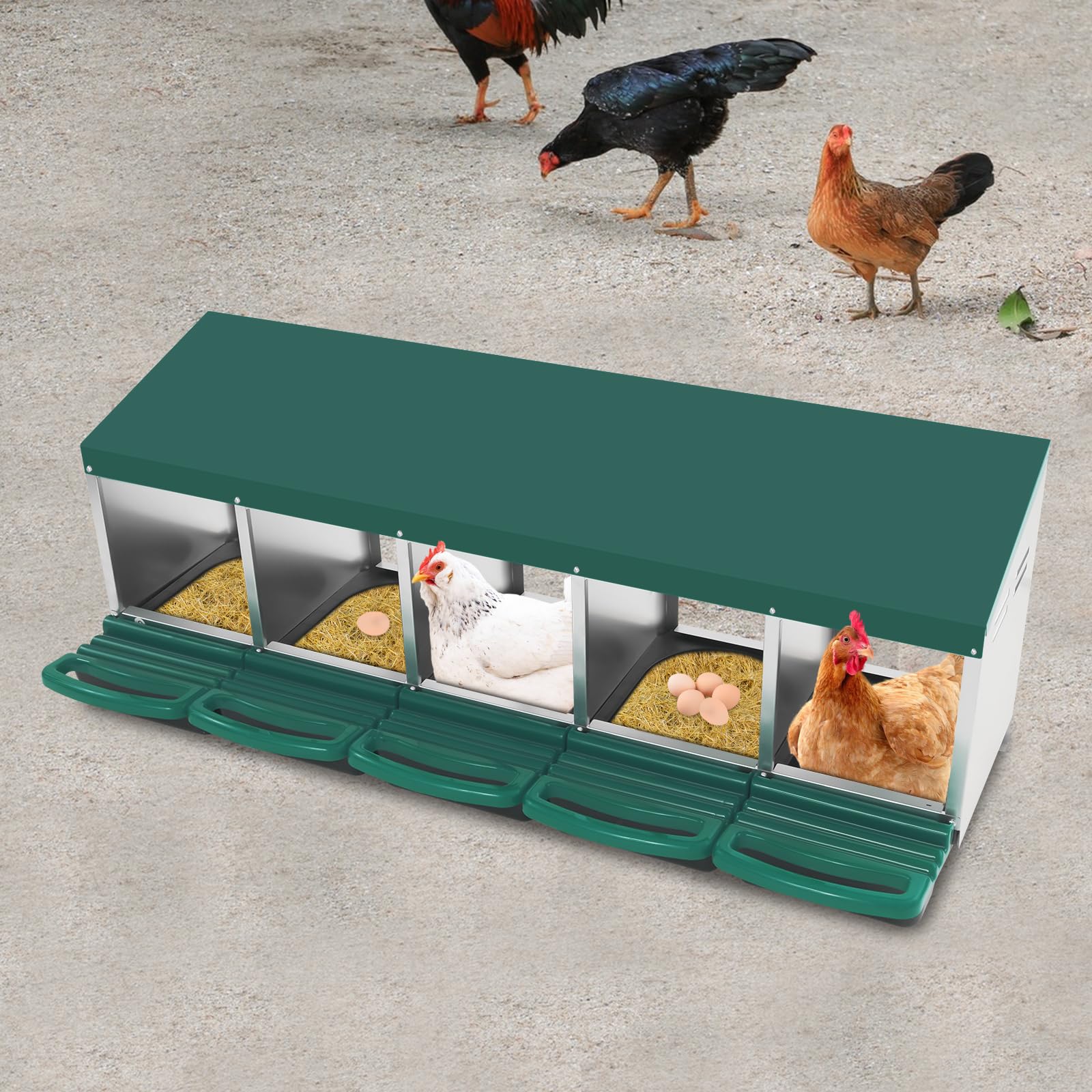 Nido para pollos, 5 compartimentos, nido de pollo de acero galvanizado y plástico, con pie en el suelo o en la pared, con toldo para gallinero y aves de corral