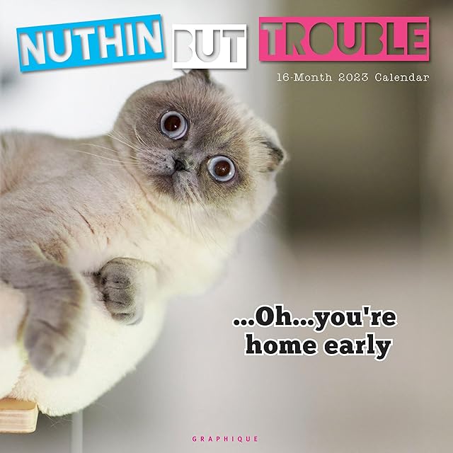 Nuthin' But Trouble | 2023 12 x 24 Inch Monthly Square Wall Calendar | Graphique de France | Pet Humor Kitten Feline
