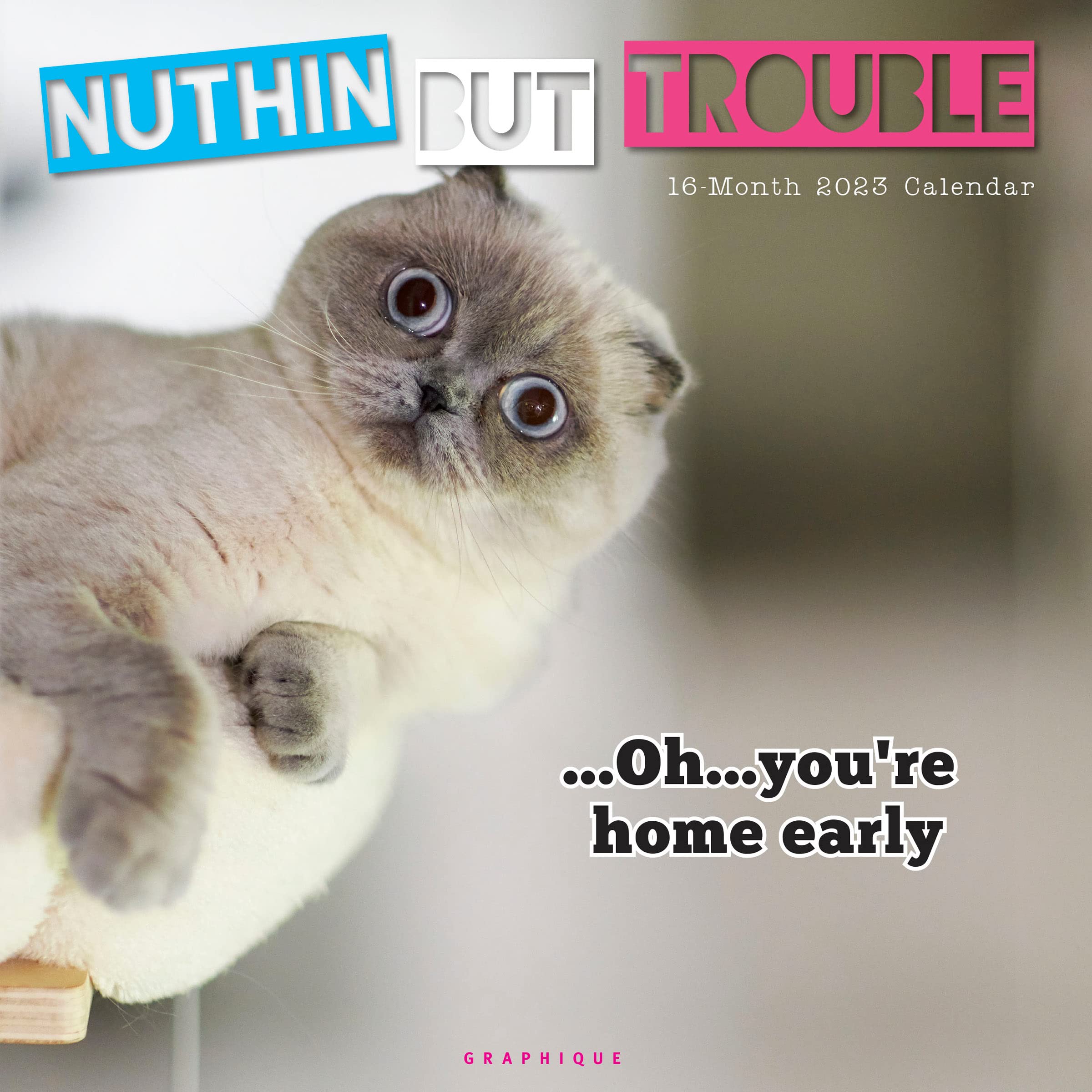 Nuthin' But Trouble | 2023 12 X 24 Inch Monthly Square Wall Calendar | Graphique De France | Pet Humor Kitten Feline