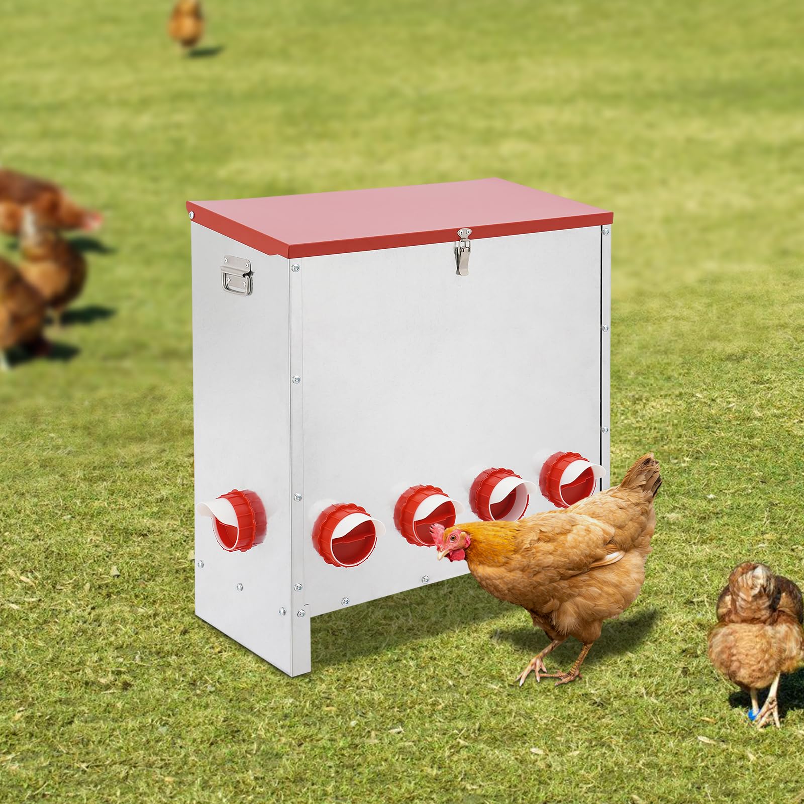 Comedero automático para pollos (10 hoyos), alimentador automático para pollos, sin bordes afilados, para 30 kg, comedero automático para patos, gansos y codornices