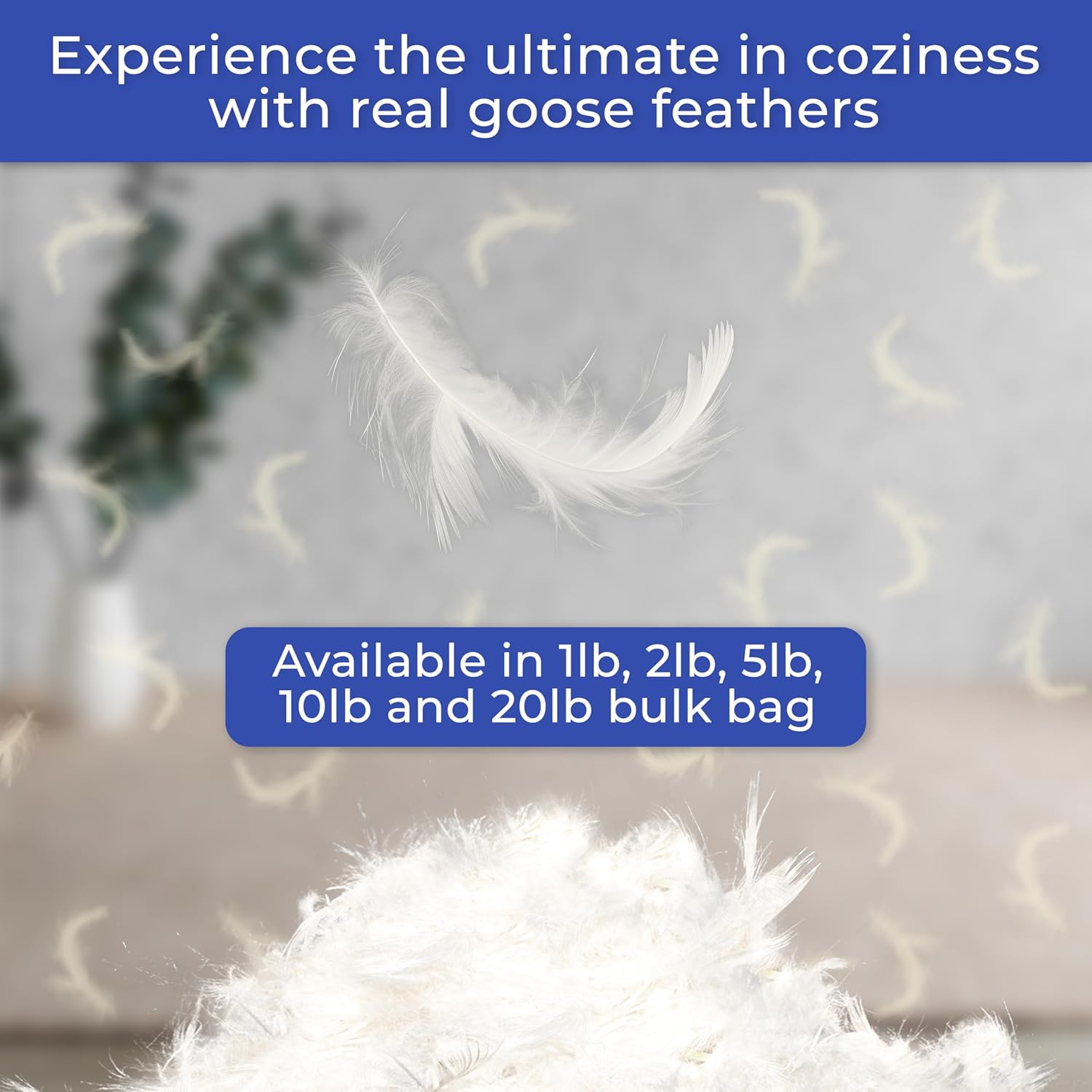 NEXTGEN Premium White Down/Goose Feathers 10/90 Stuffing & Fill Hypoallergenic Pillow Filling, restuffing, Fluffing, for Cushions, Comforters, Jackets -for DIY Projects and Home Décor