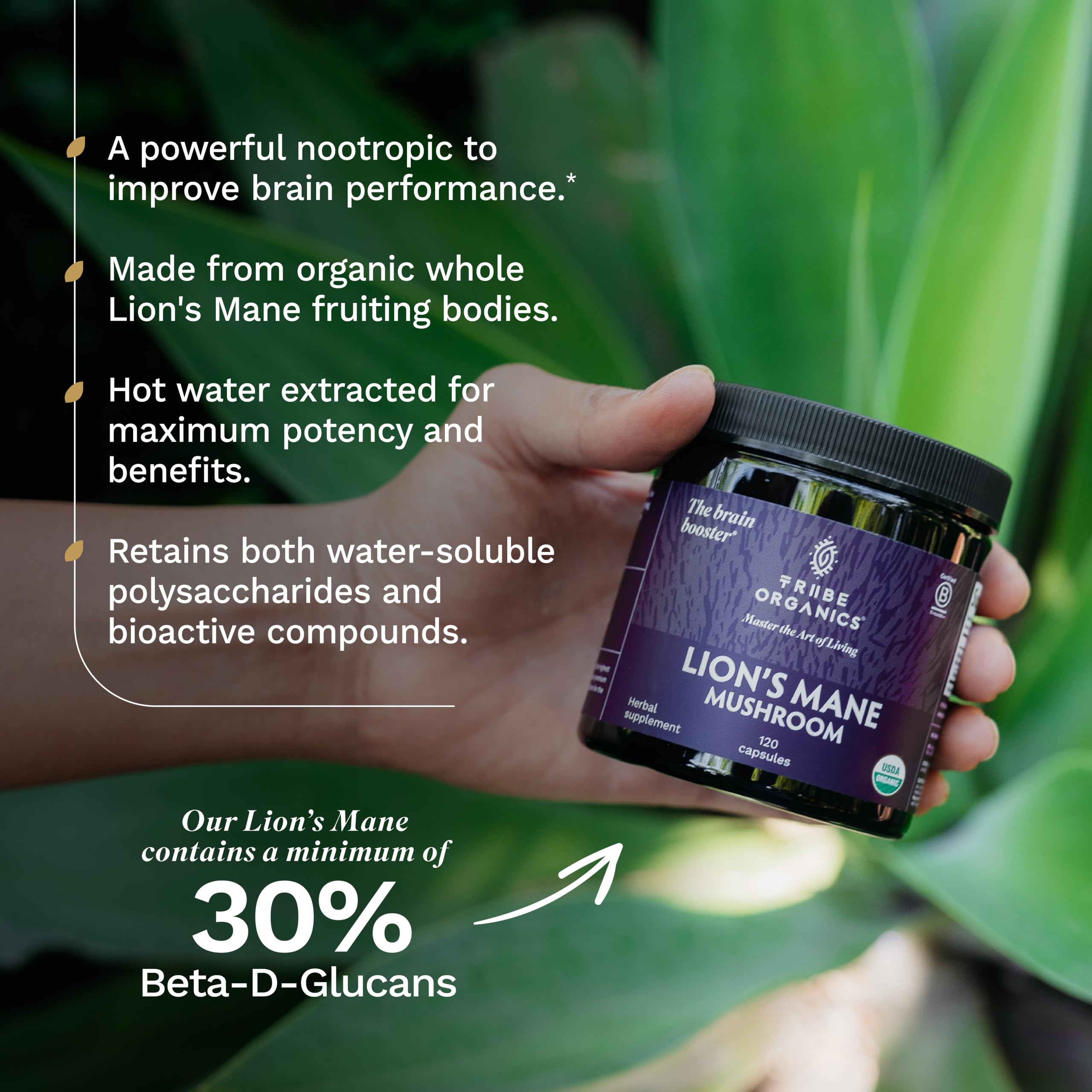 TRIBE ORGANICS Lion's Mane Supplement Capsules, Mushroom Extract, 120ct — Amazon image 6