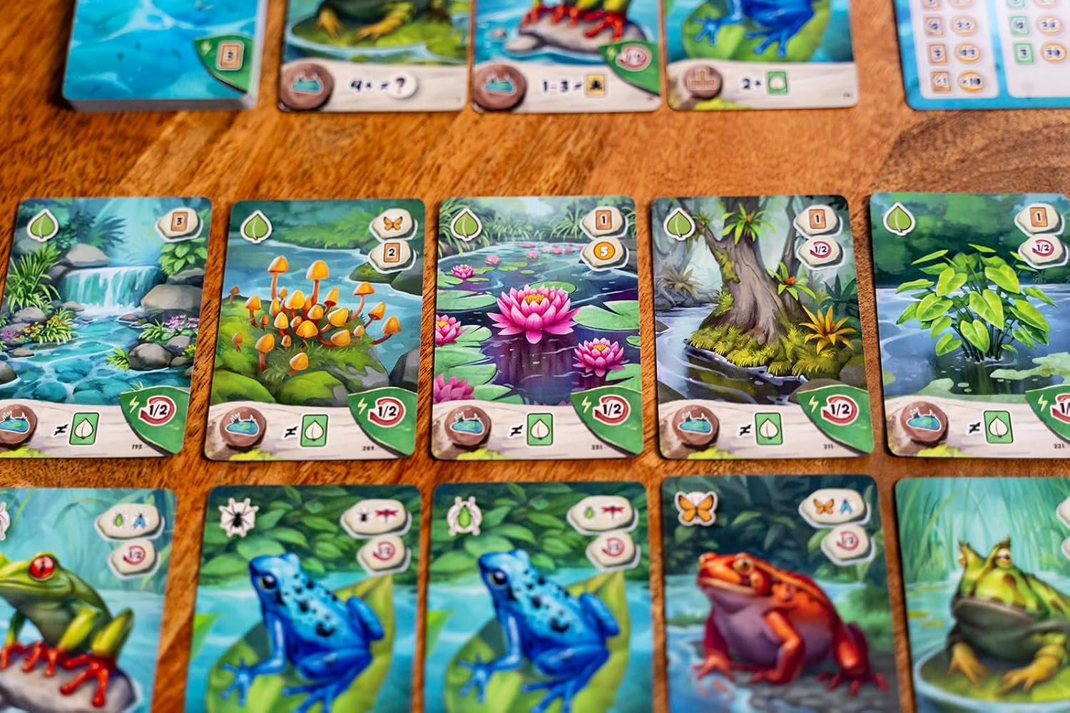 Pondscape, Cozy Family Strategy Card Game for Kids and Adults – for 1–4 Players, Ages 8+ – Family Games Night Essential