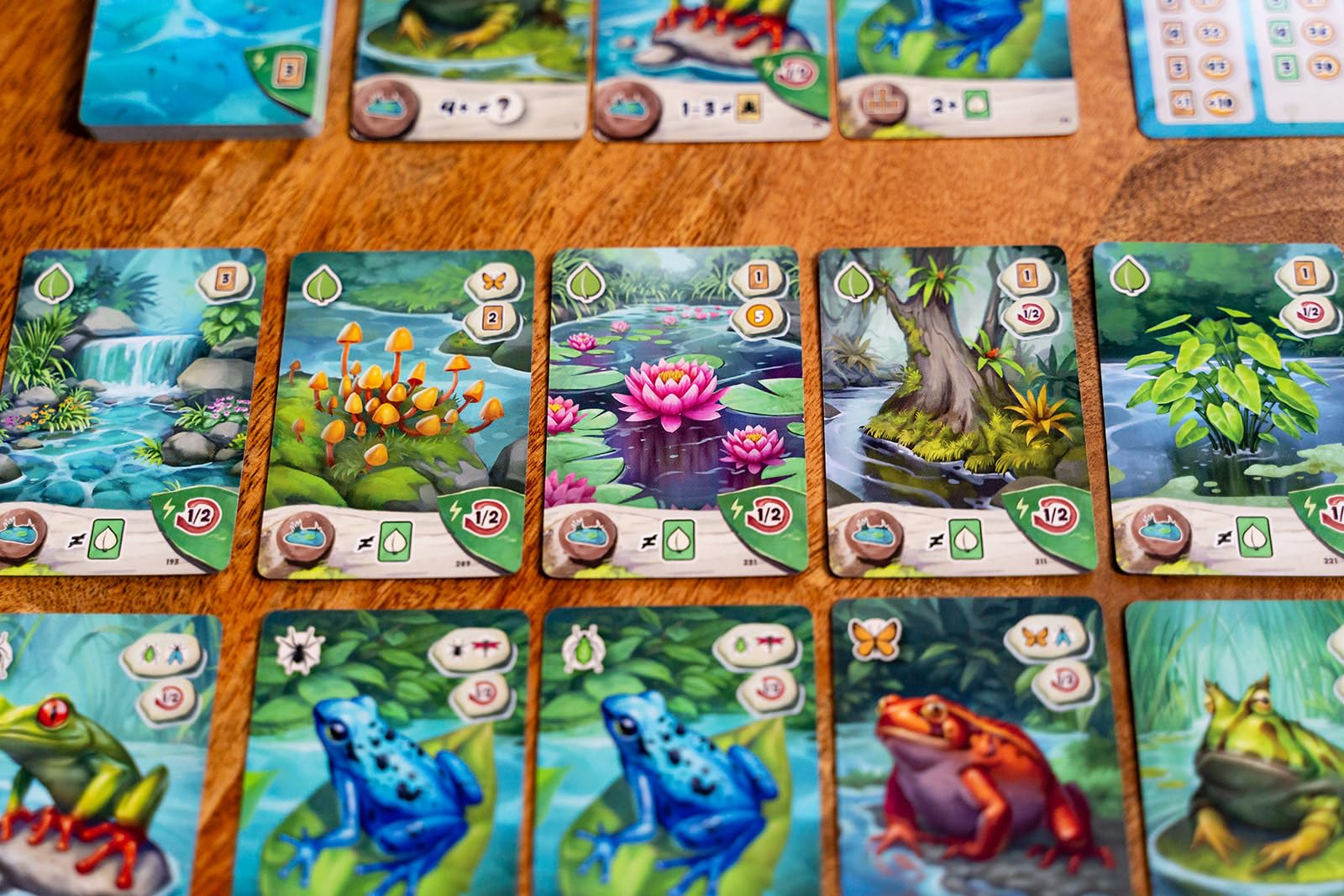 Capstone Games Pondscape - Gioco di carte strategico per adulti e ragazzi, 2 giocatori | o altro - Gioco di carte asimmetrico, misterioso, basato sul ruolo e tematico per il divertimento notturno e in famiglia