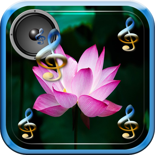 Musique pour Zen Relax