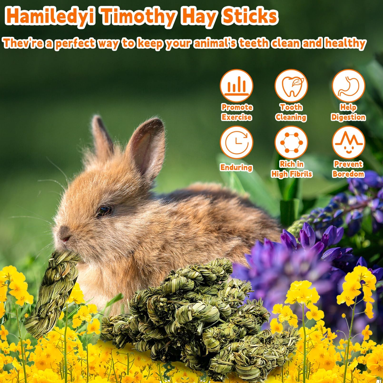 Bunny Treats Timothy Hay Sticks For Rabbits Bissap Rabbit Chew Toy Box ...