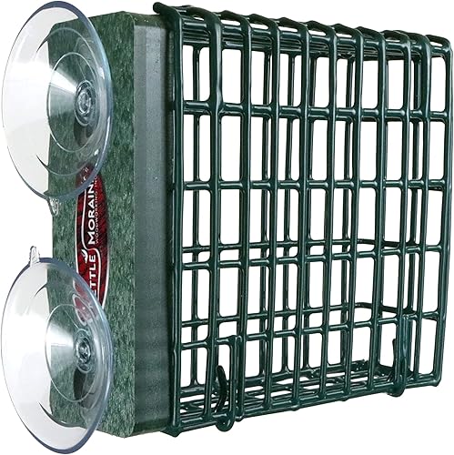 Miniatura 9 de Kettle Moraine Window Mount Single Suet Cake Woodpecker Bird Feeder