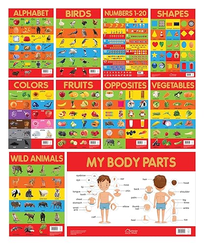 Early Learning Educational 10 Charts Boxset for Kids: Perfect for Homeschooling, Kindergarten and Nursery Students (11. 5 Inches X 17. 5 Inches) ... Fruits, Vegetables, Opposites, My Body Parts