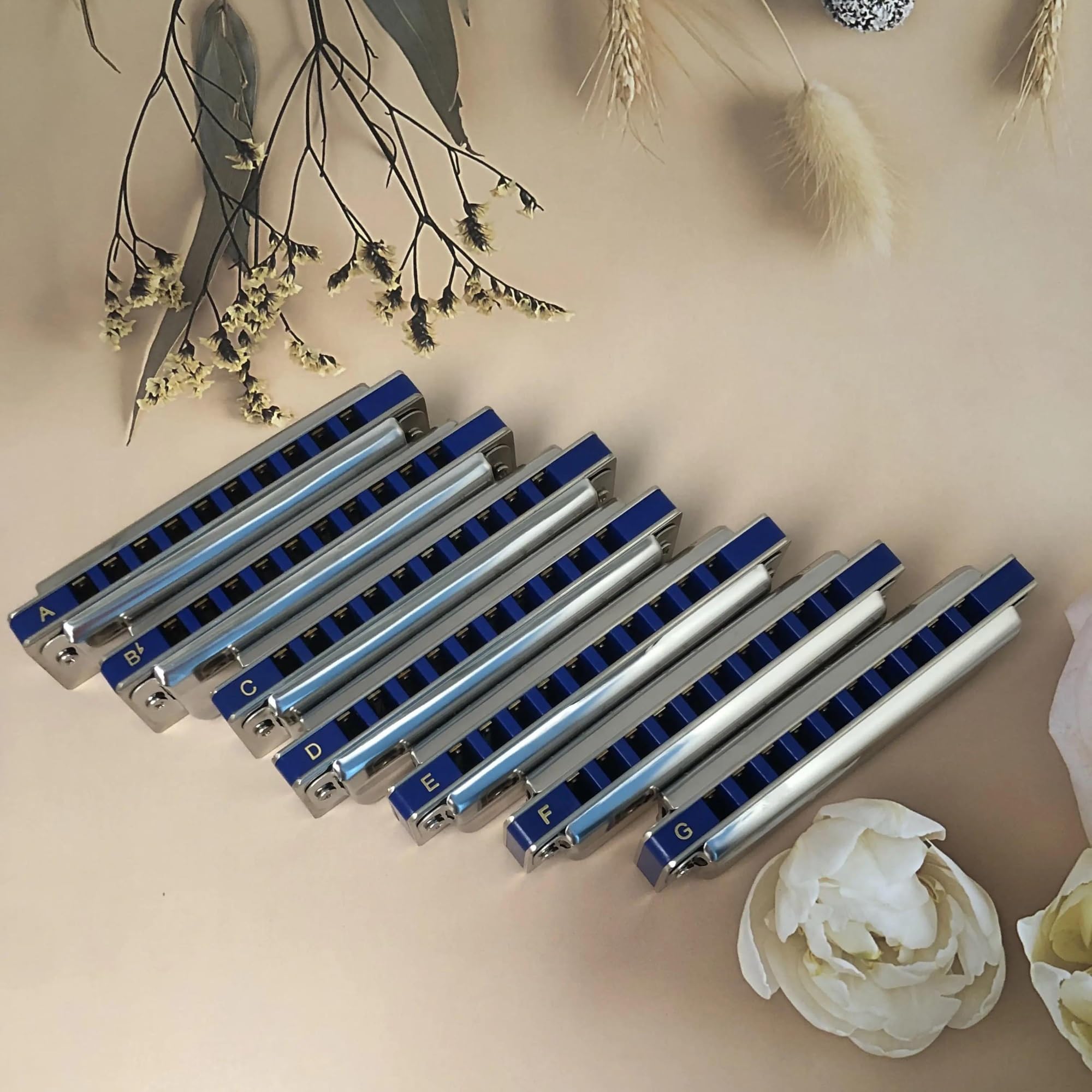 Zestaw Harmonijkowy Zestaw Harmonijki Diatonicznej 10 Otworów Blues Harp Organ Ustny 7 Dla Dorosłych Gracz W Zespole