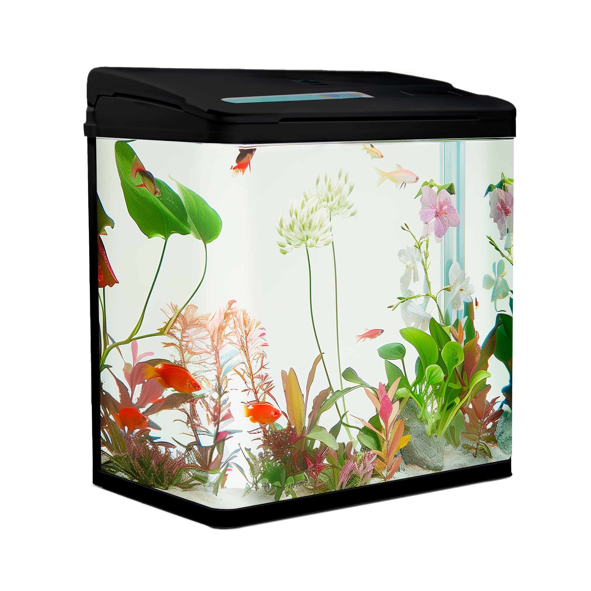 VIALIA Aquarium Komplettset 30 Liter | mit LED-Beleuchtung, Pumpe & Filter | 38x24x43 cm Glasbecken | Gebogene Frontscheibe für Panoramablick | Nano Aquarium für Fische & Pflanzen | Schwarz