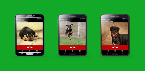 Rottweiler Fake Call Prank ( Funny Pet Calling Prank ) - Gag fake Prank Call from Rottweilers Dogs -