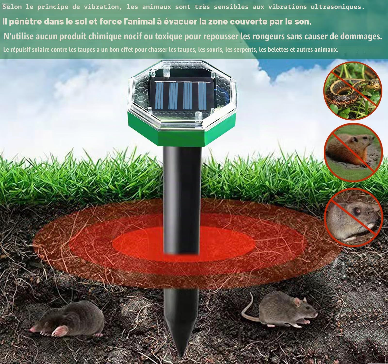 Anti Taupe Solaire Vibration et Ultrasons 8 Pièces,Repulsif Taupe Ultrason Solaire,Répulsif Serpent Ultrason avec IP65 Imperméable,Repousse Les Taupes et Autres Rongeurs pour Le Jardin et Extérieur