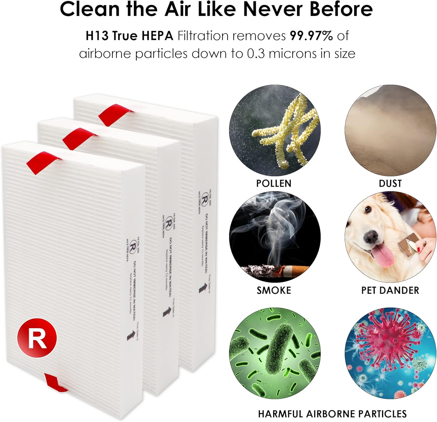 Flintar Replacement Filter R, Compatible with Honeywell Air Purifier HPA300, HPA200, HPA 100 and HPA 5000 Series, HRF-R3, 3-Pack