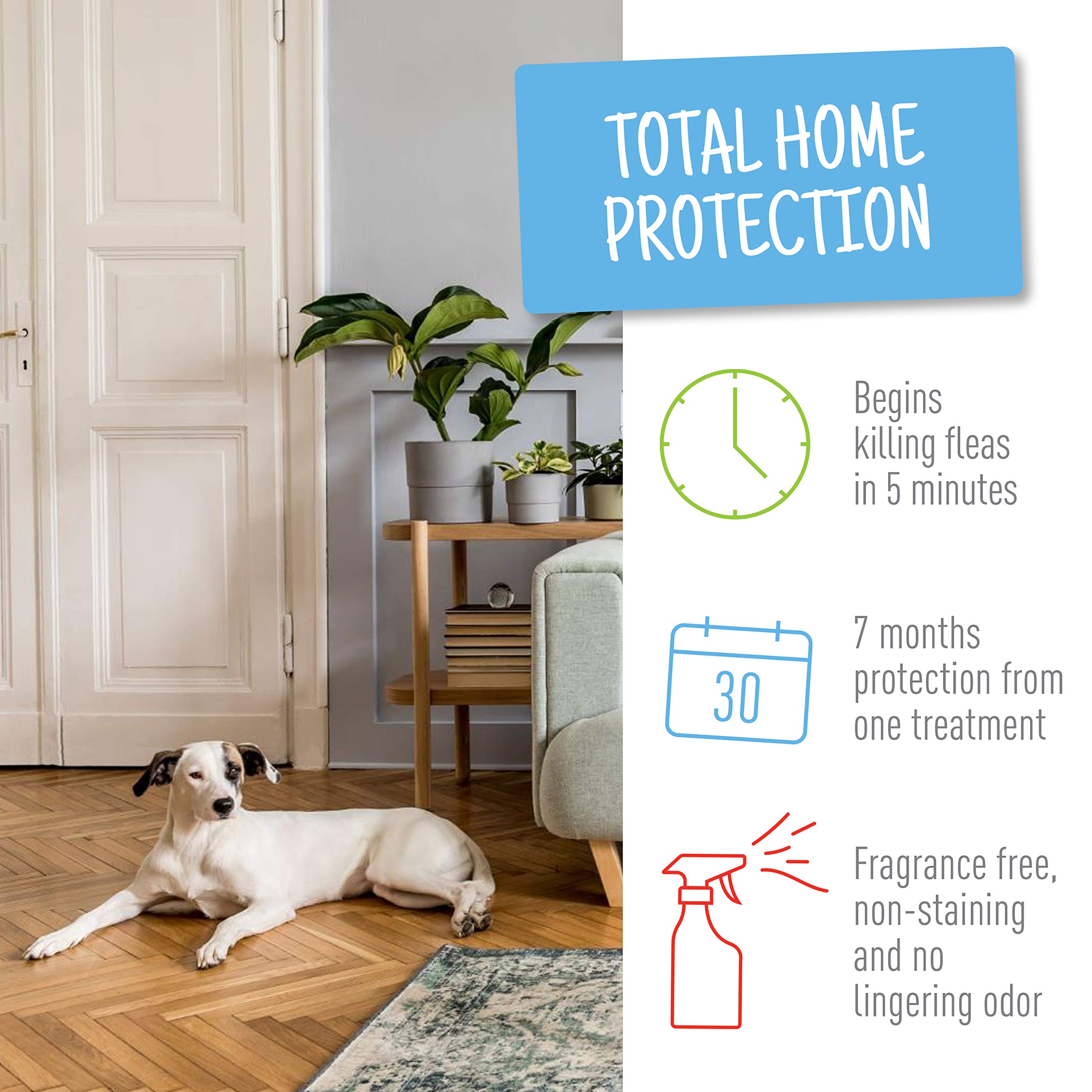 Buy Adams Flea & Tick Home Spray, Kills Fleas, Flea Eggs, Flea Larvae