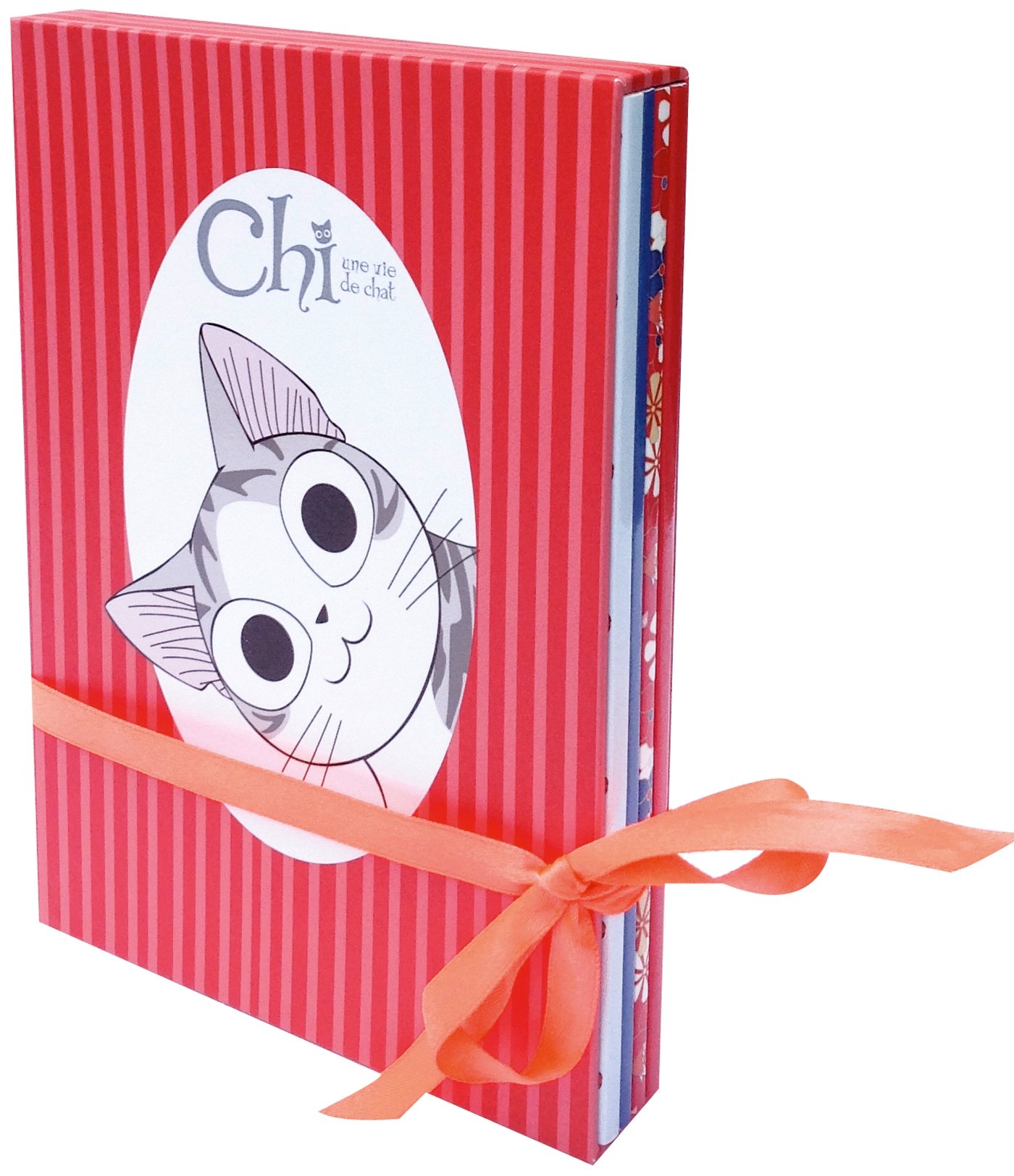 Chi - une vie de chat - coffret de 4 carnets