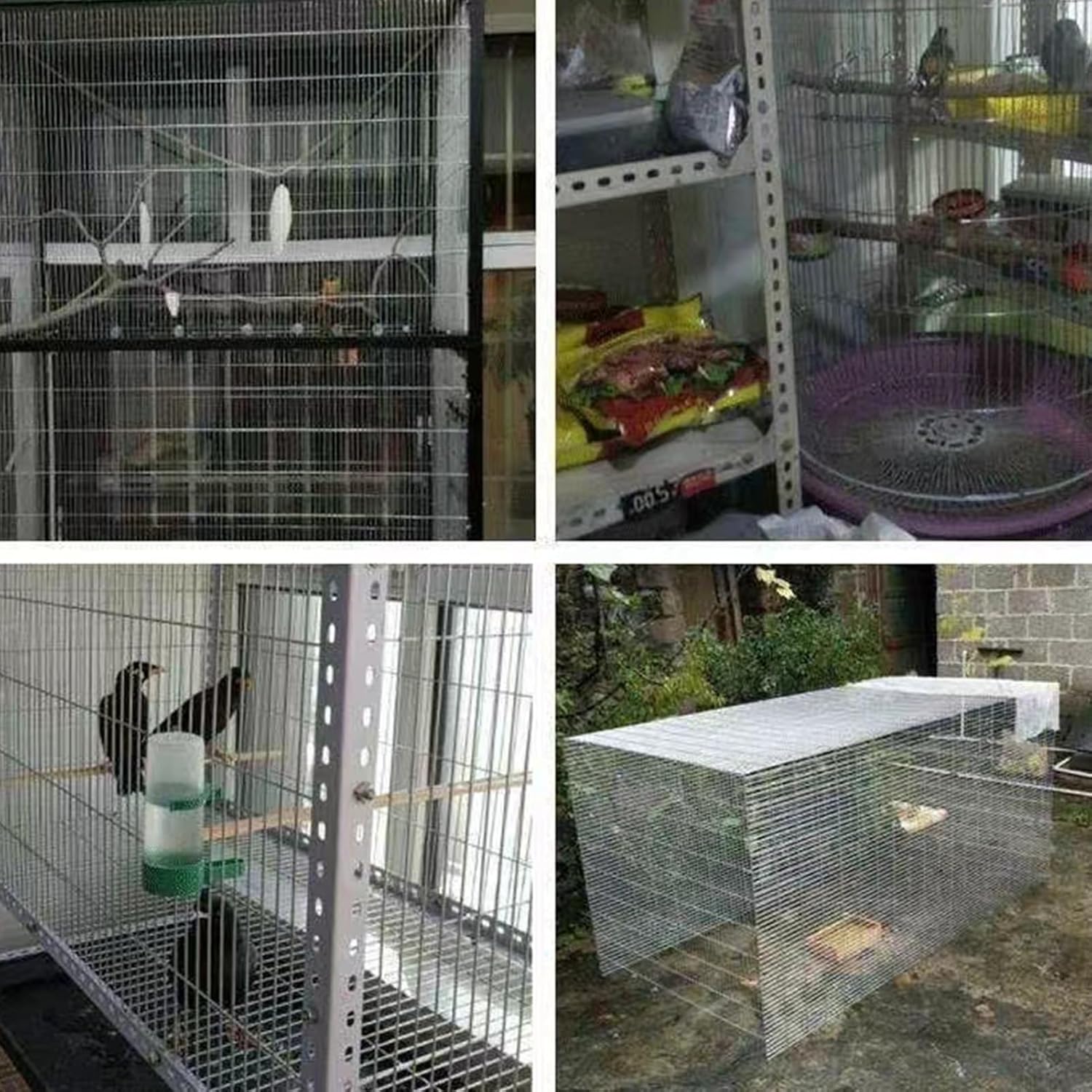 Hardware Cloth, Welded Wire Mesh Roll, Chicken Wire Fence, 1X10cm Hole Wire Fencing, Chicken Coop Heavy Garden Poultry Netting(1mx3m(39inx9.8ft))