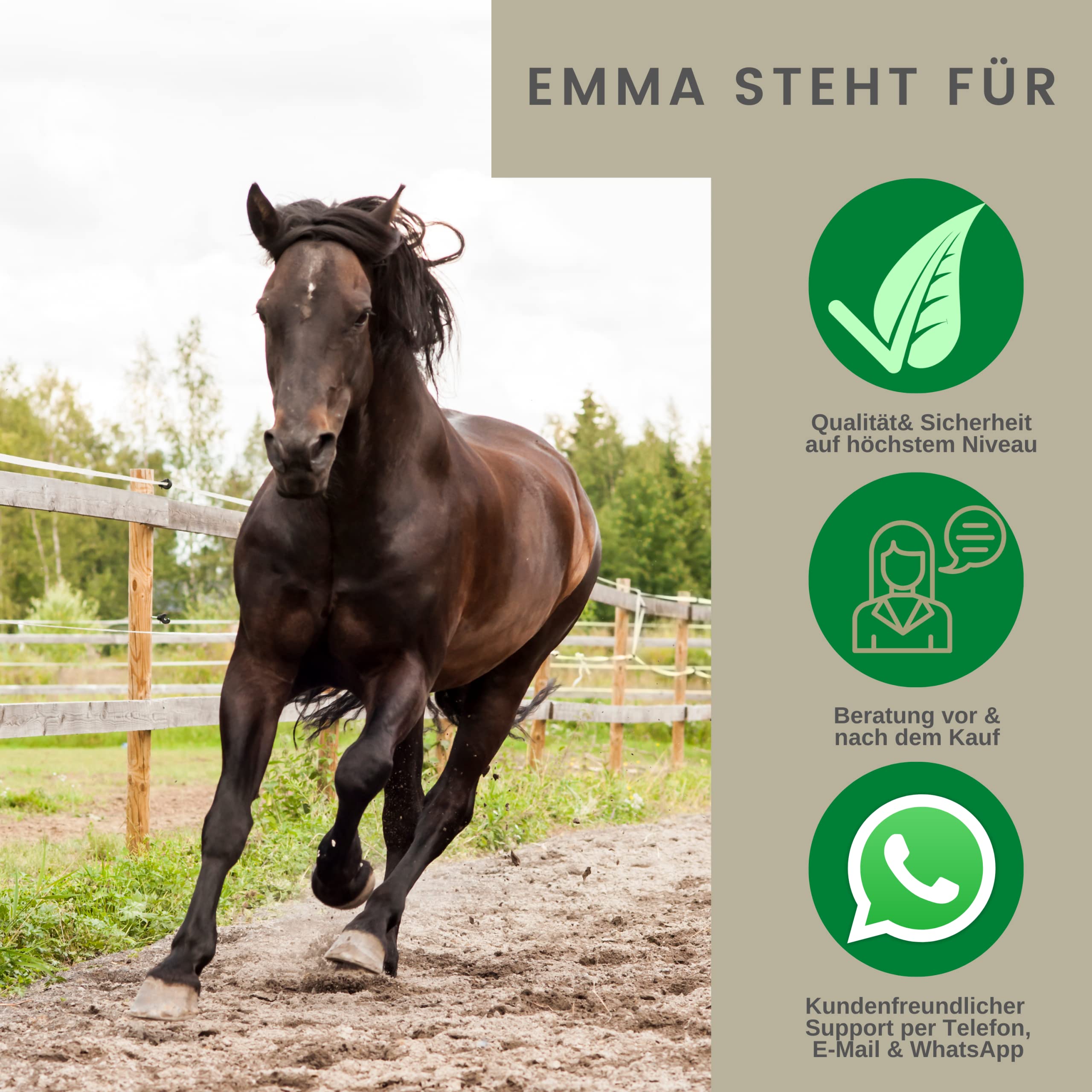 EMMA® Glitter spray for horses silver + horse mane and tail spray, coat