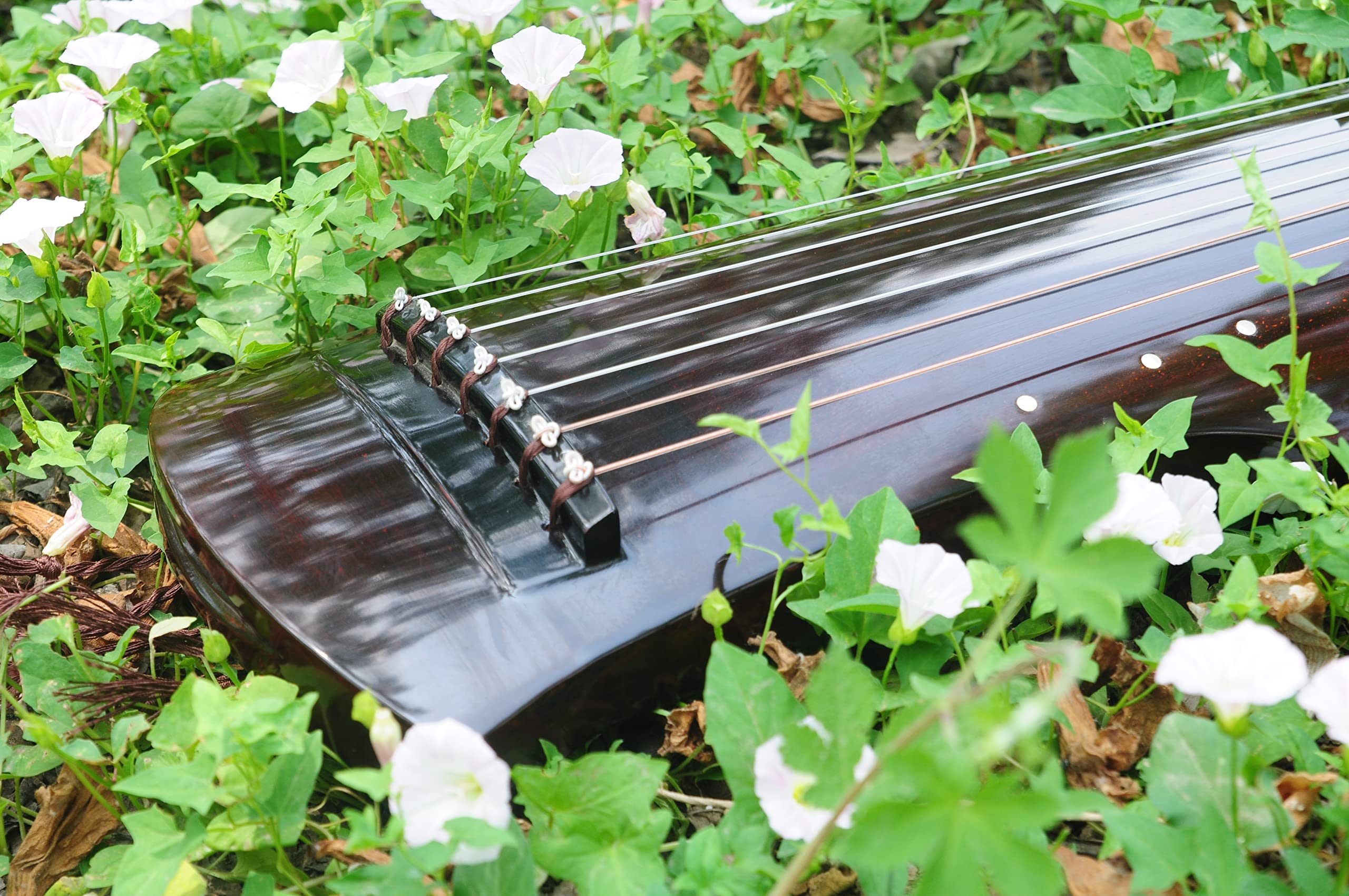 LANDTOM Einsteiger Paulownia-Holz Fuxi-Stil Guqin für Anfänger (braun)