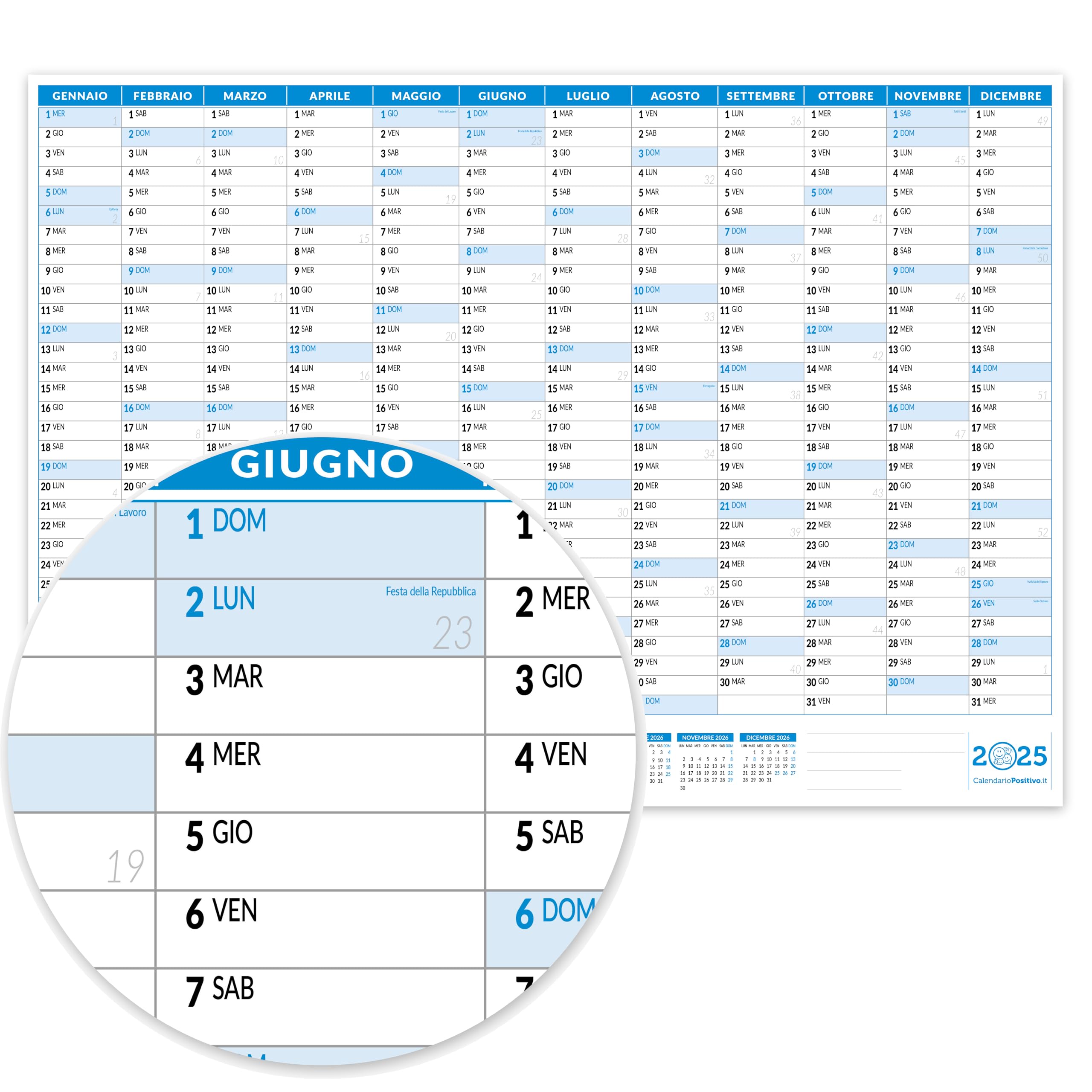 Wall Calendar 2025 84 x 59 cm Planner | Positive | Folded | Maxi