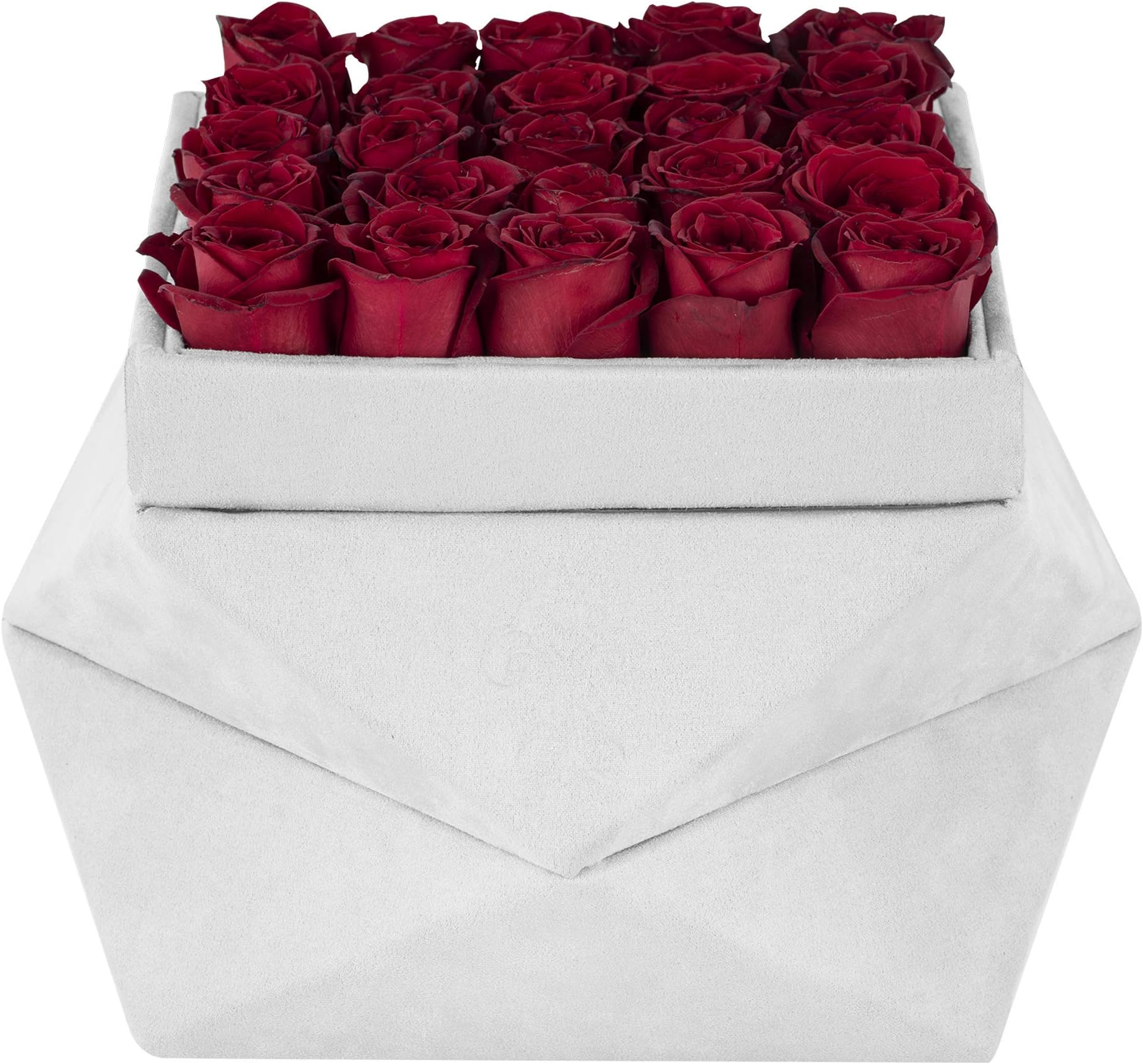 Premium Roses | Fresh Flowers Delivery Prime | Infinity Roses In A Box | Birthday Flowers | Red Roses | White Roses | Flowers Fresh (White Gift Box)