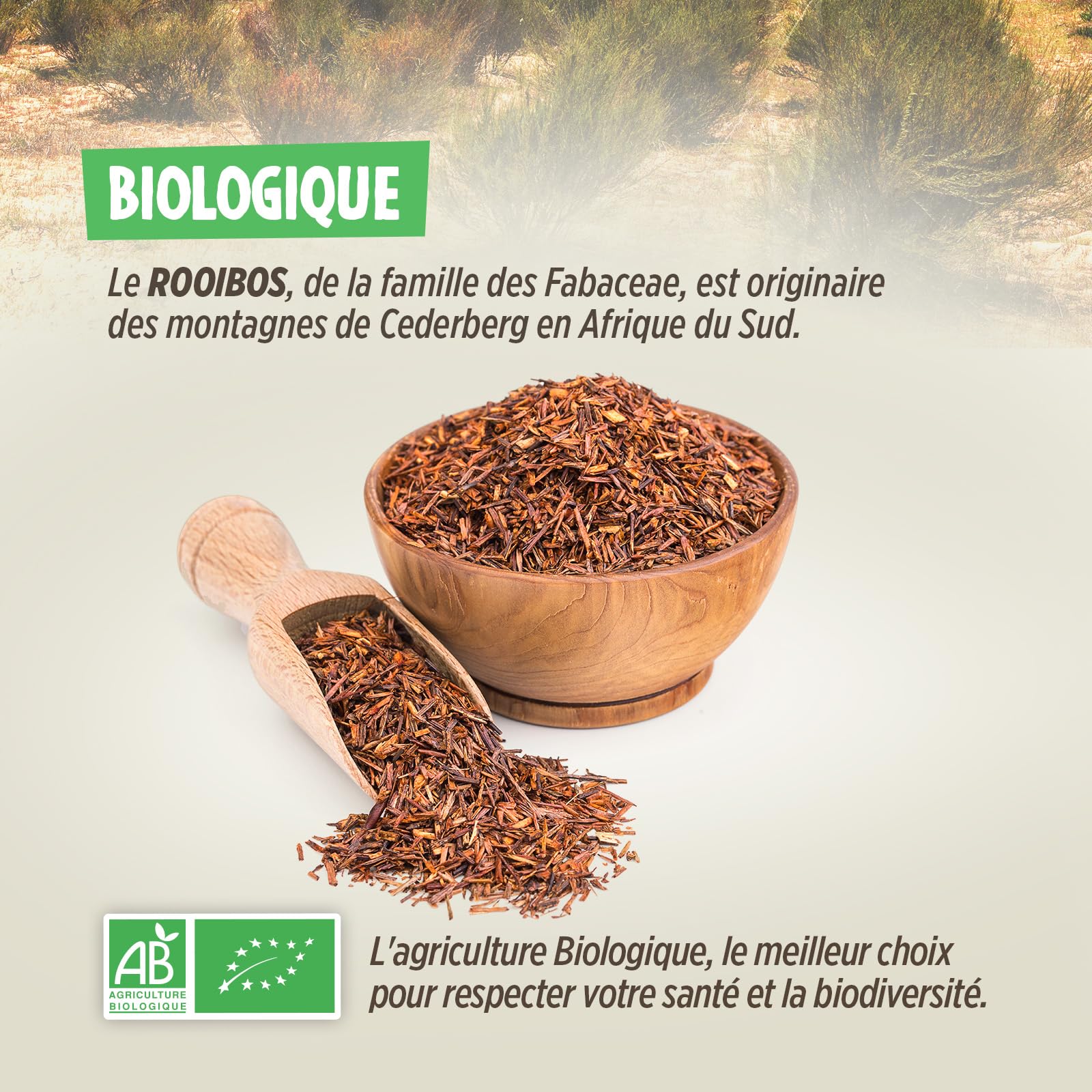 Rooibos Bio (Thé Rouge) - 500g