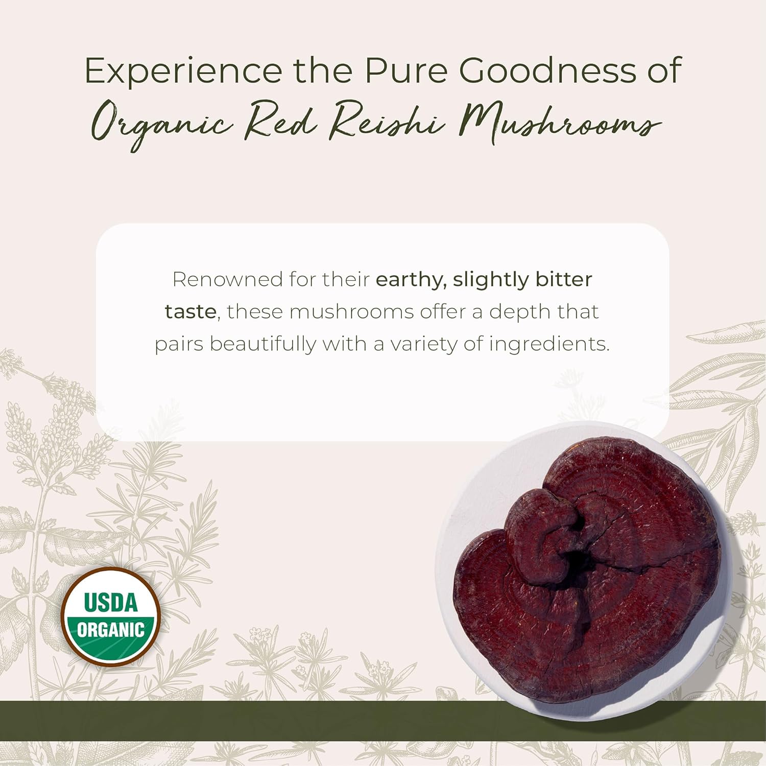 Starwest Botanicals Red Reishi Mushrooms Whole Organic - Dried Reishi Mushrooms for Herbal Tea & Cooking, Ganoderma Lucidum, Certified Kosher, Non-GMO - 4 oz Pouch