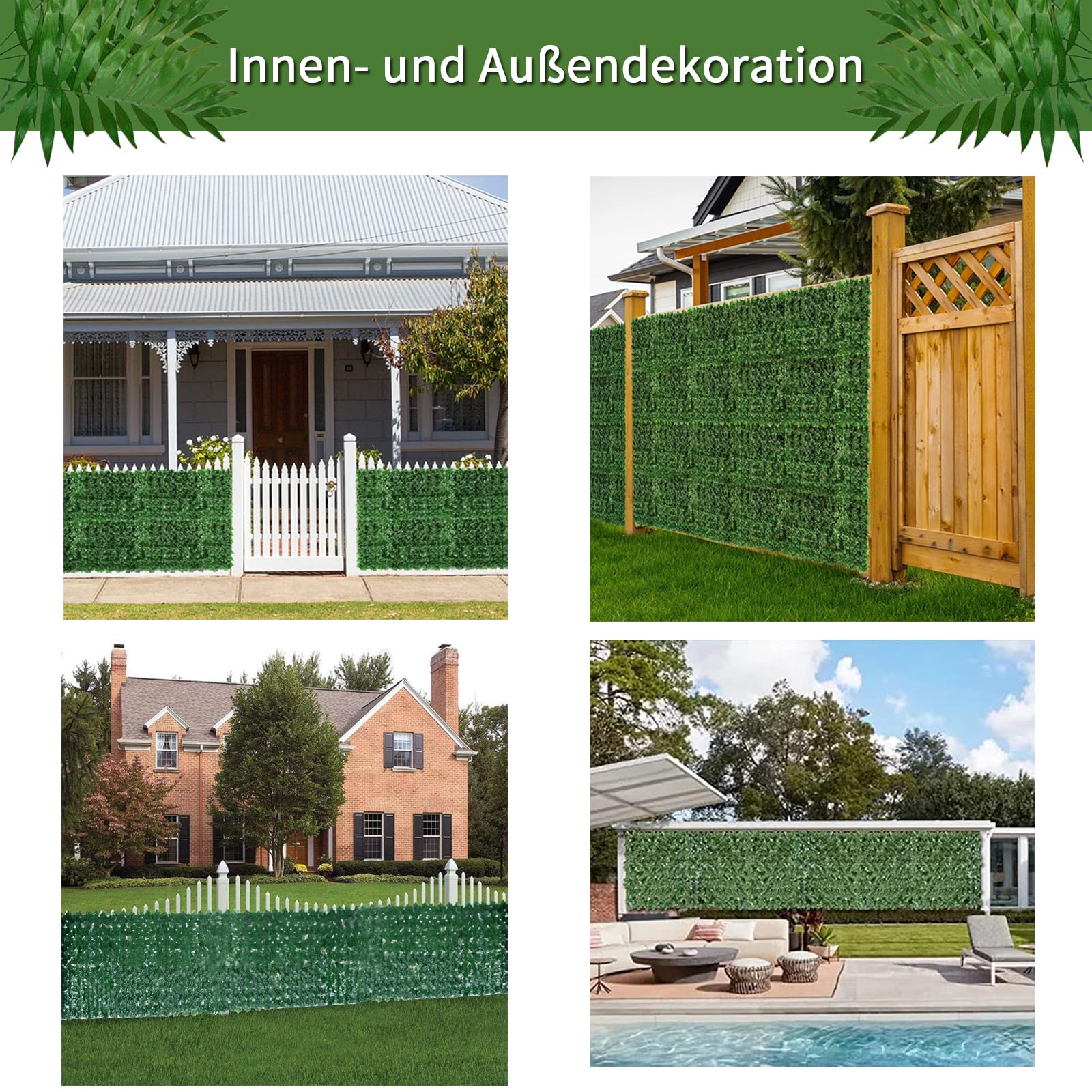 epipremnum aureum efeutute Efeutute - Epipremnum aureum