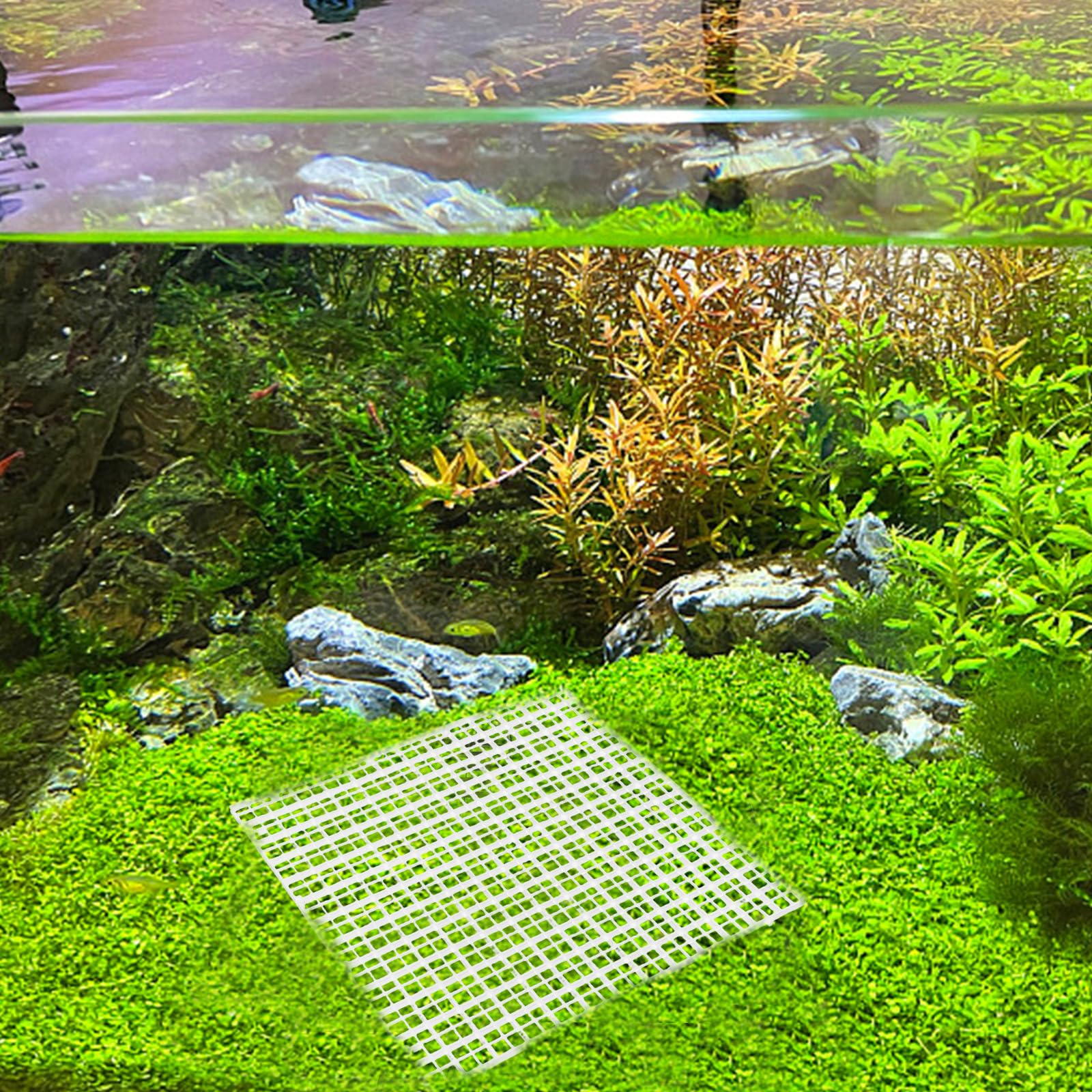 Aquarium Bodenfilterplatte Trennwand 8 Stück Weiß Kunststoff