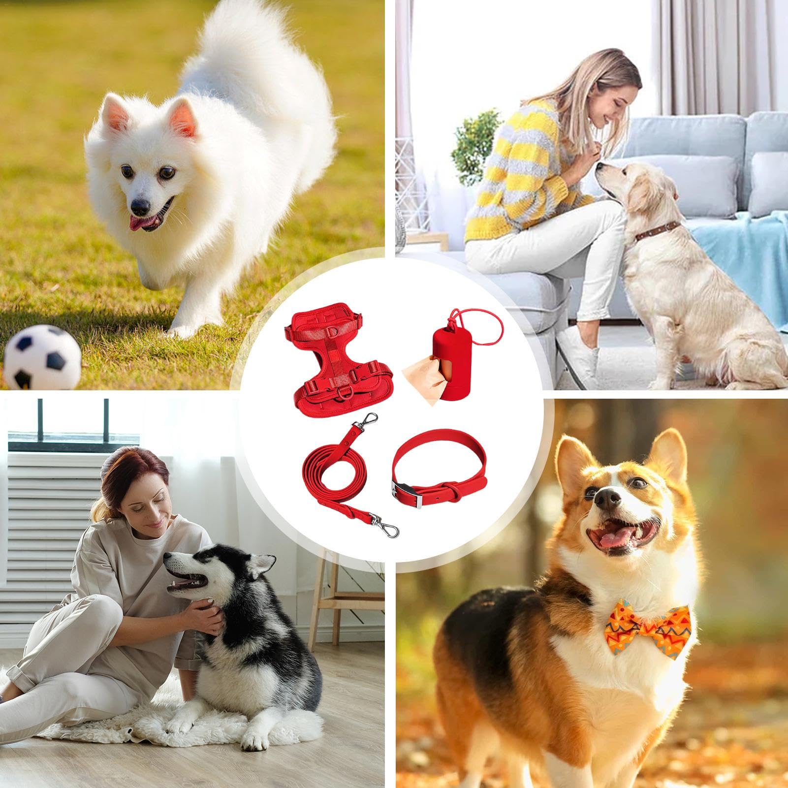 Hundeleinen-Set – Haustiergeschirr, Halsband und Leine Set – Multifunktionsleine Set für mittelgroße Hunde, einfaches Gehen jeden Tag, verstellbares Hundehalsband, modisch