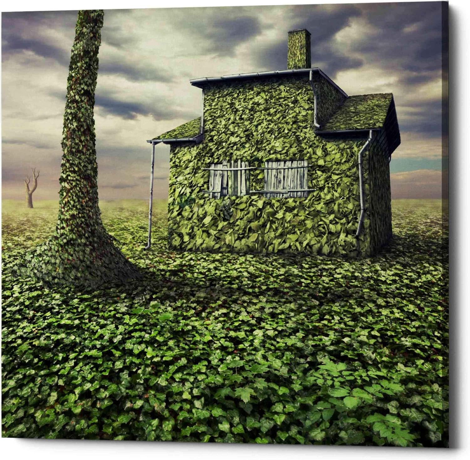 Epic Graffiti 'House of Leaves' by Dariusz Klimczak, Canvas Wall Art, 12"x12"