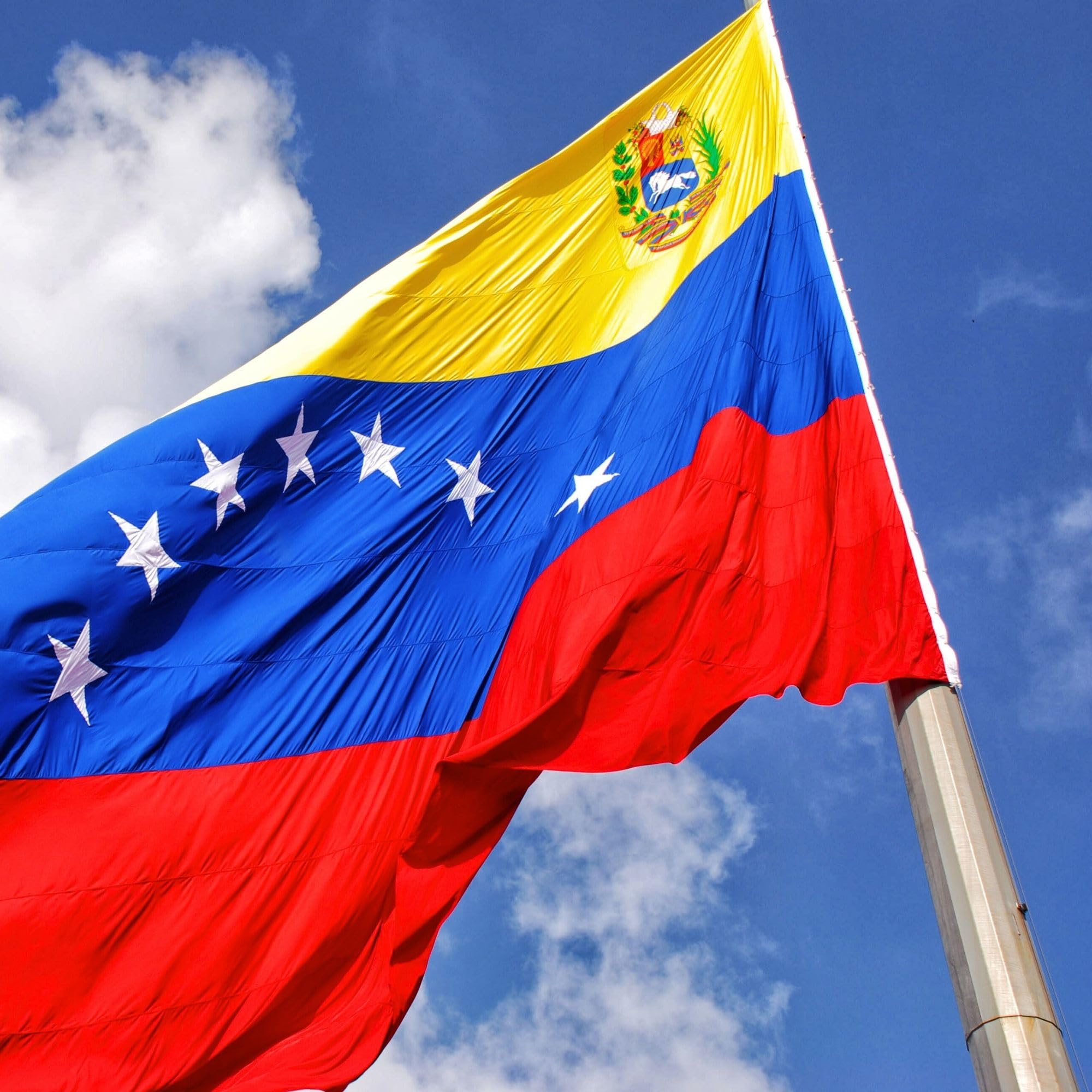 Runesol Venezuela New Flag, 91x152cm, 3ftx5ft, 8 Stars With Crest Flag, Venezuelan Flag - Image 3