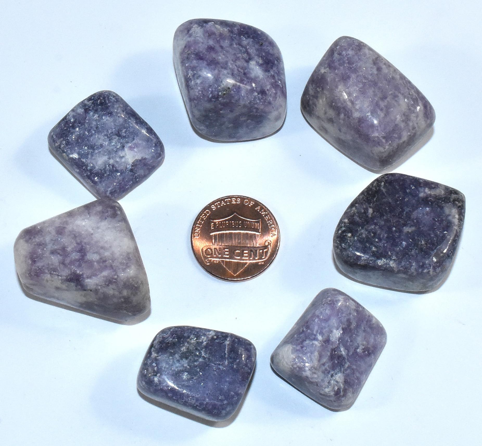 200g (7oz) Purple Lepidolite Tumble Stone Pebbles Polished Natural Lithia Mica Flower Sugilite Gemstone Crystal Mineral Decor Specimen - Brazil