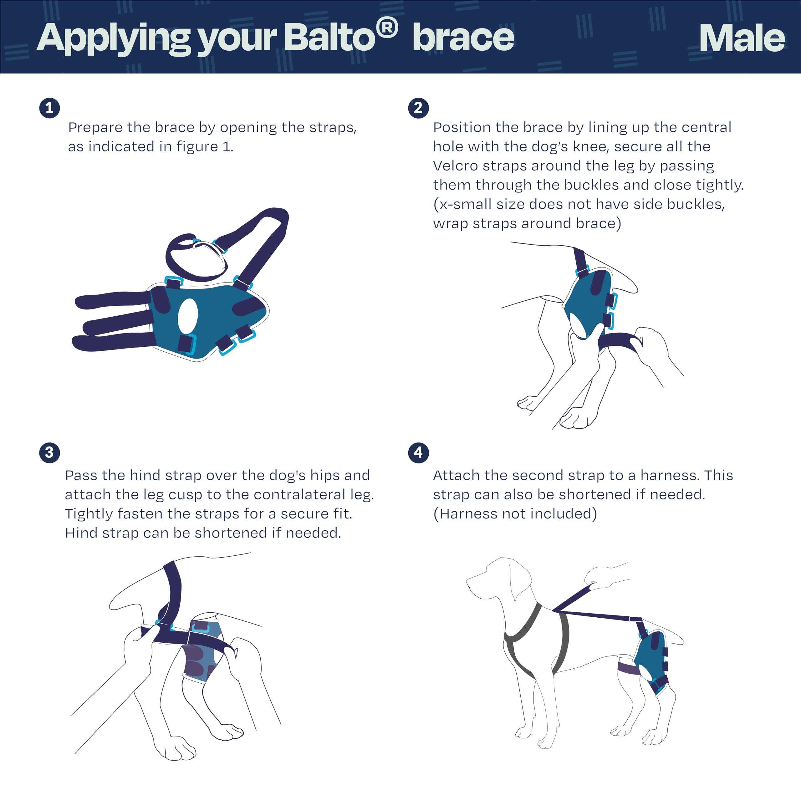 Balto - BT Jump Tutore Ginocchio DESTRO M Tutore M