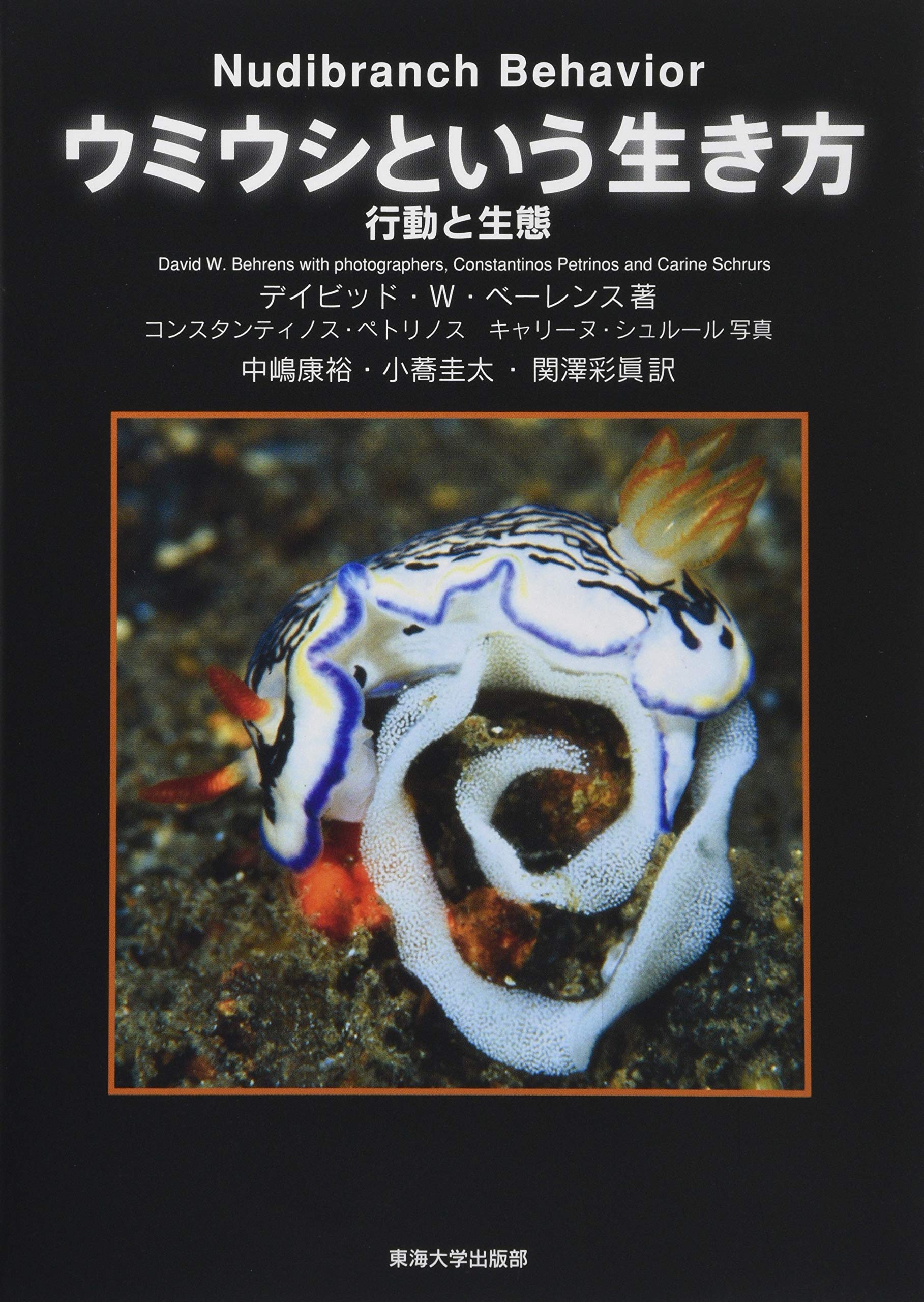 ウミウシページ 81e3tcUGevL.jpg