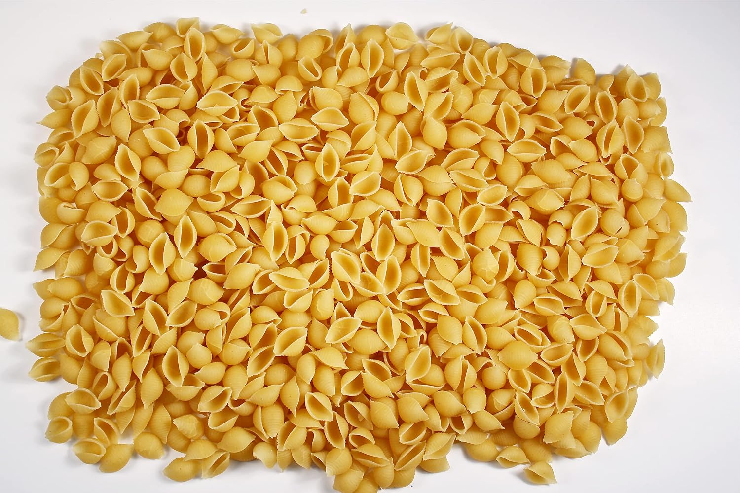 LA MODERNA, Shells, Made with Durum Wheat Semolina, Enriched with Vitamins and Iron, Traditional Mexican Pasta, 7 oz (Pack of 5) image 3