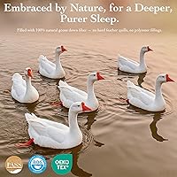 Vista 3 de Edredón (gris oscuro, individual (68 x 90 pulgadas)