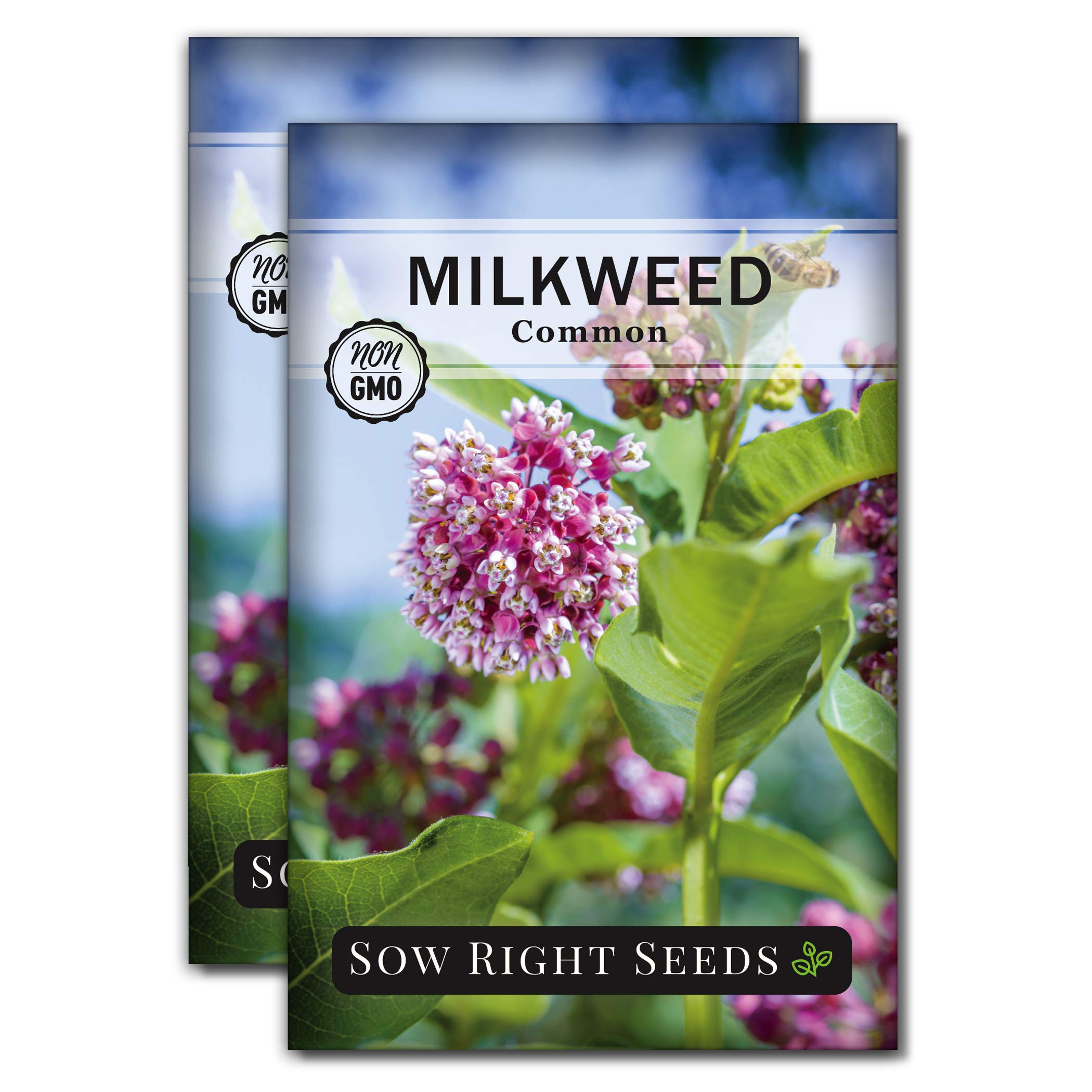 Sow Right Seeds - Common Milkweed Seeds for Planting - Attract Monarch Butterflies to Your Garden - Non-GMO Heirloom Seed Packet with Full Instructions to Plant - Perennial Plant for Pollinators (2)
