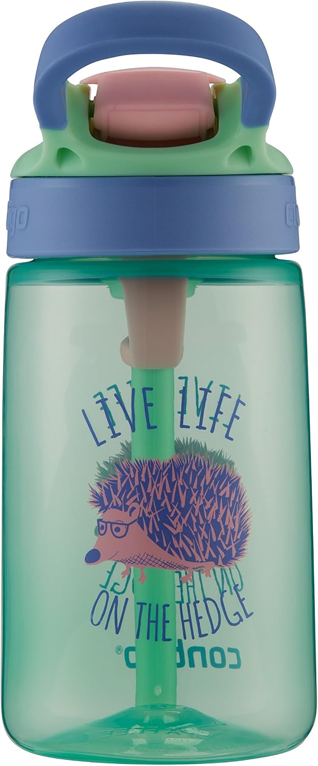 ContigoGizmo Water Bottle, 14 oz, Mint Chip with Hedgehog