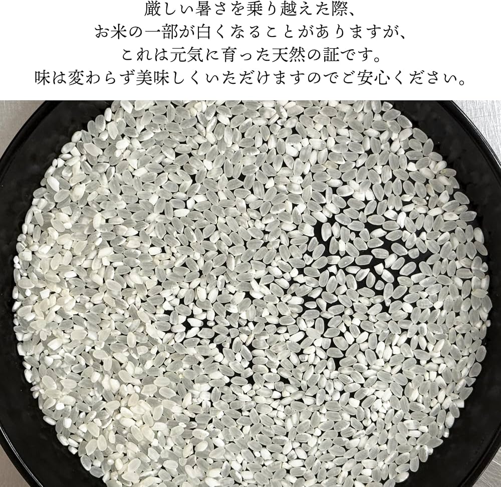 Amazon.co.jp: 岡山県産 彩華米 ブレンド米 10kg 令和7年産 白米 産地