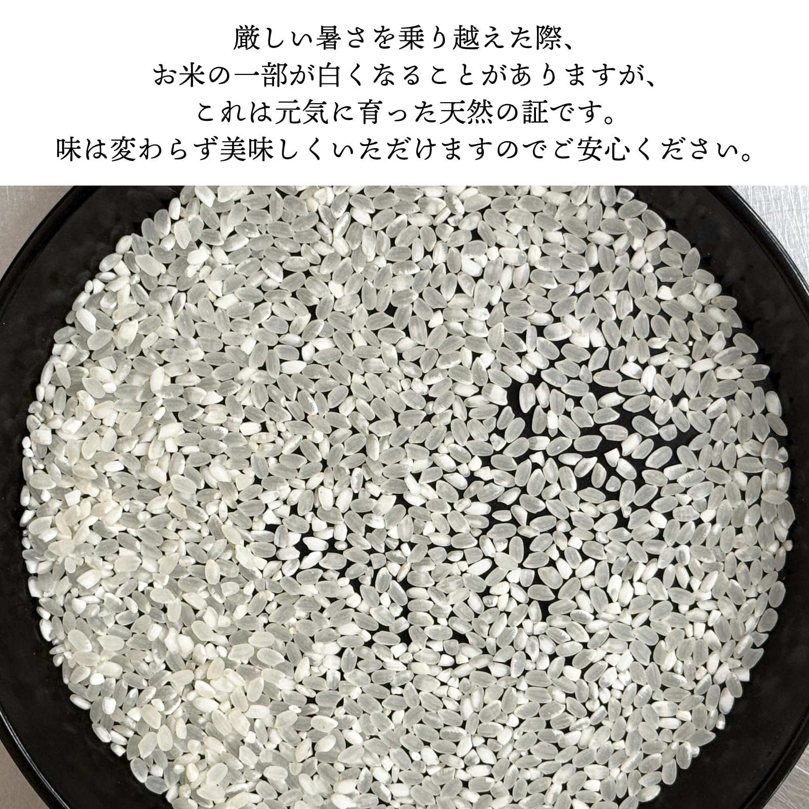 Amazon.co.jp: 岡山県産 彩華米 ブレンド米 10kg 令和8年産 新米入り