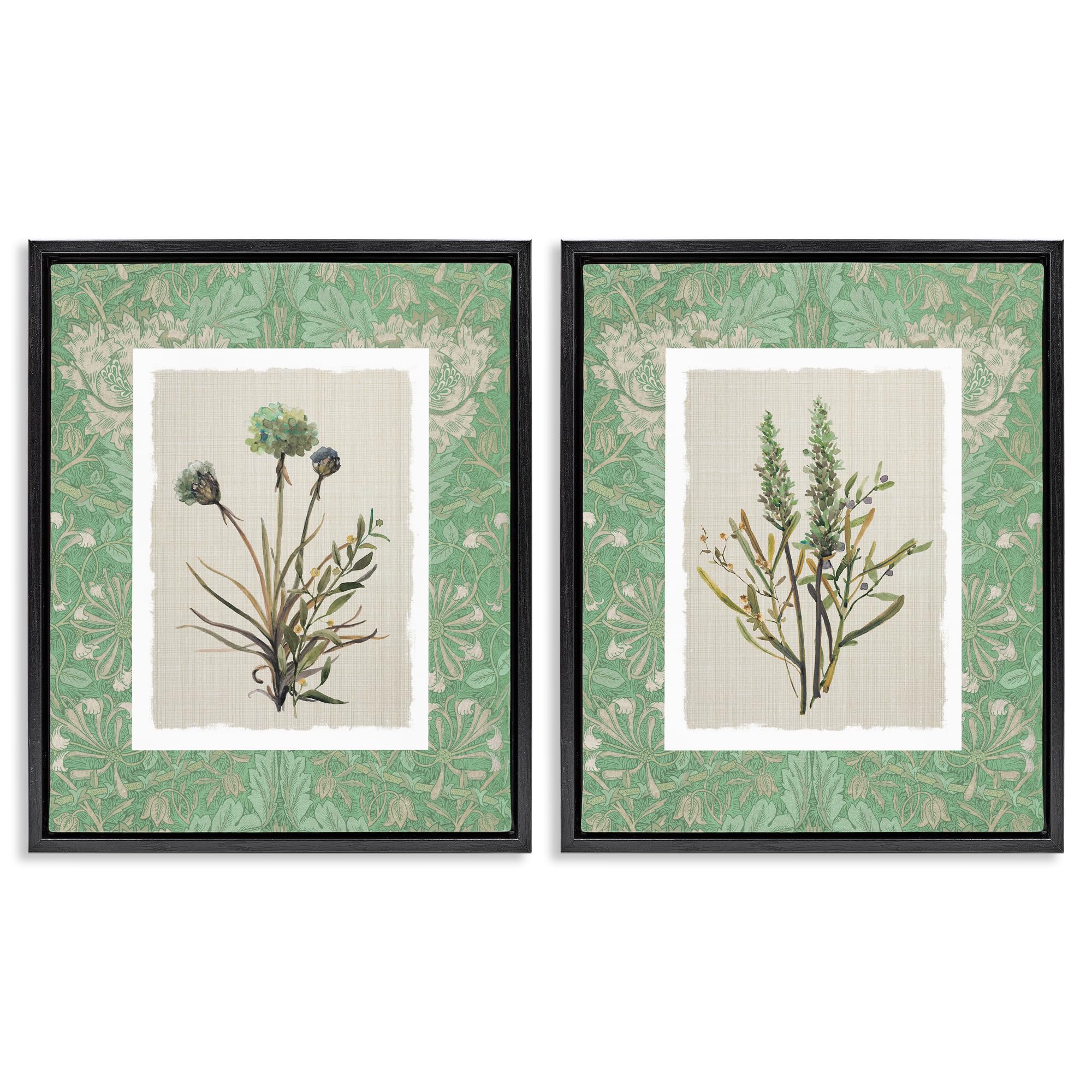 Stupell Industries 'Green Tone Herbal Blooms', 2pc Floating Frame Art Set 2, Black, 25 x 31 Inches, Easy to Hang and Sturdy, Made in USA, by Carol Robinson