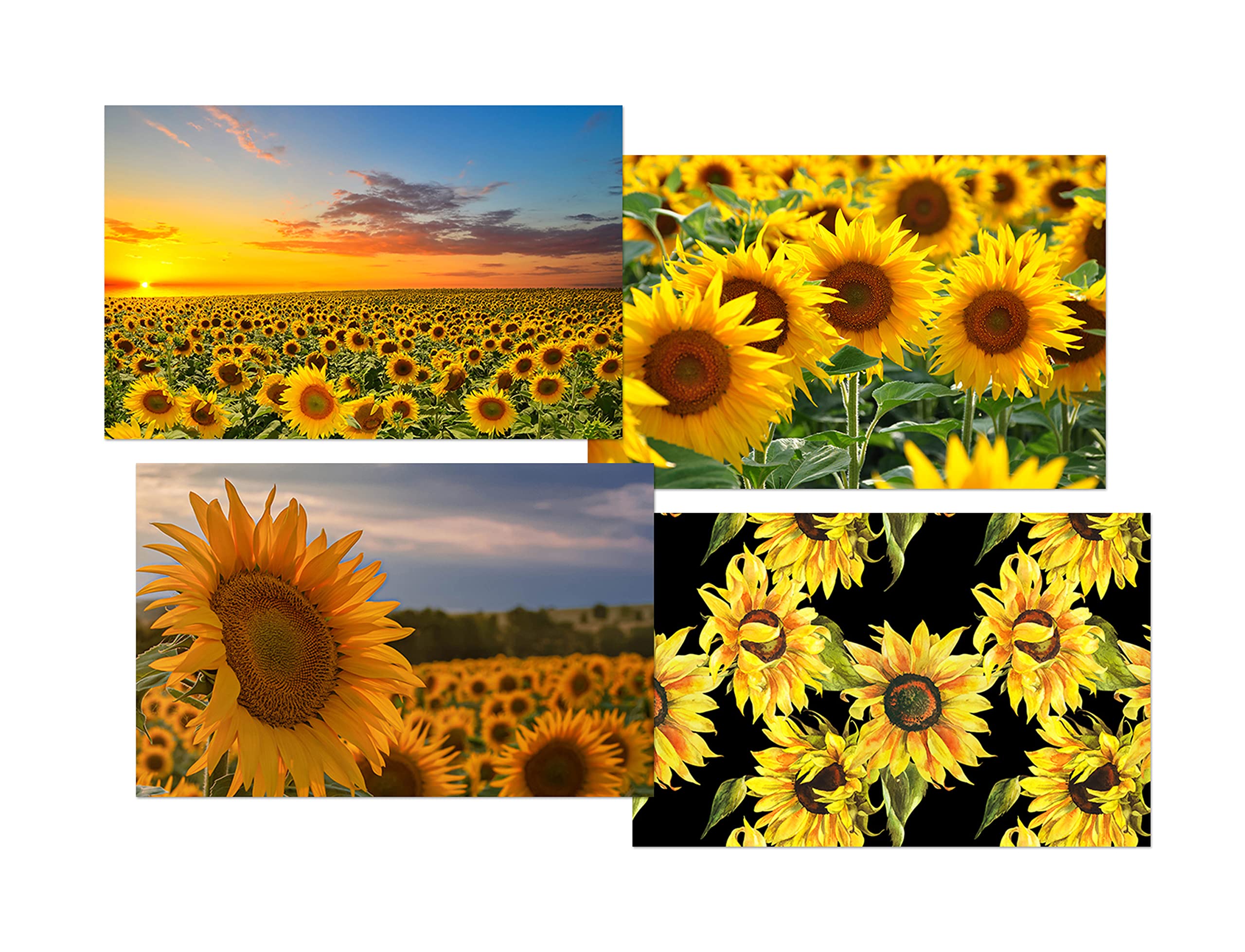DV DESIGN Set of 4 Sunflower White Ballpoint Pens - Image 2