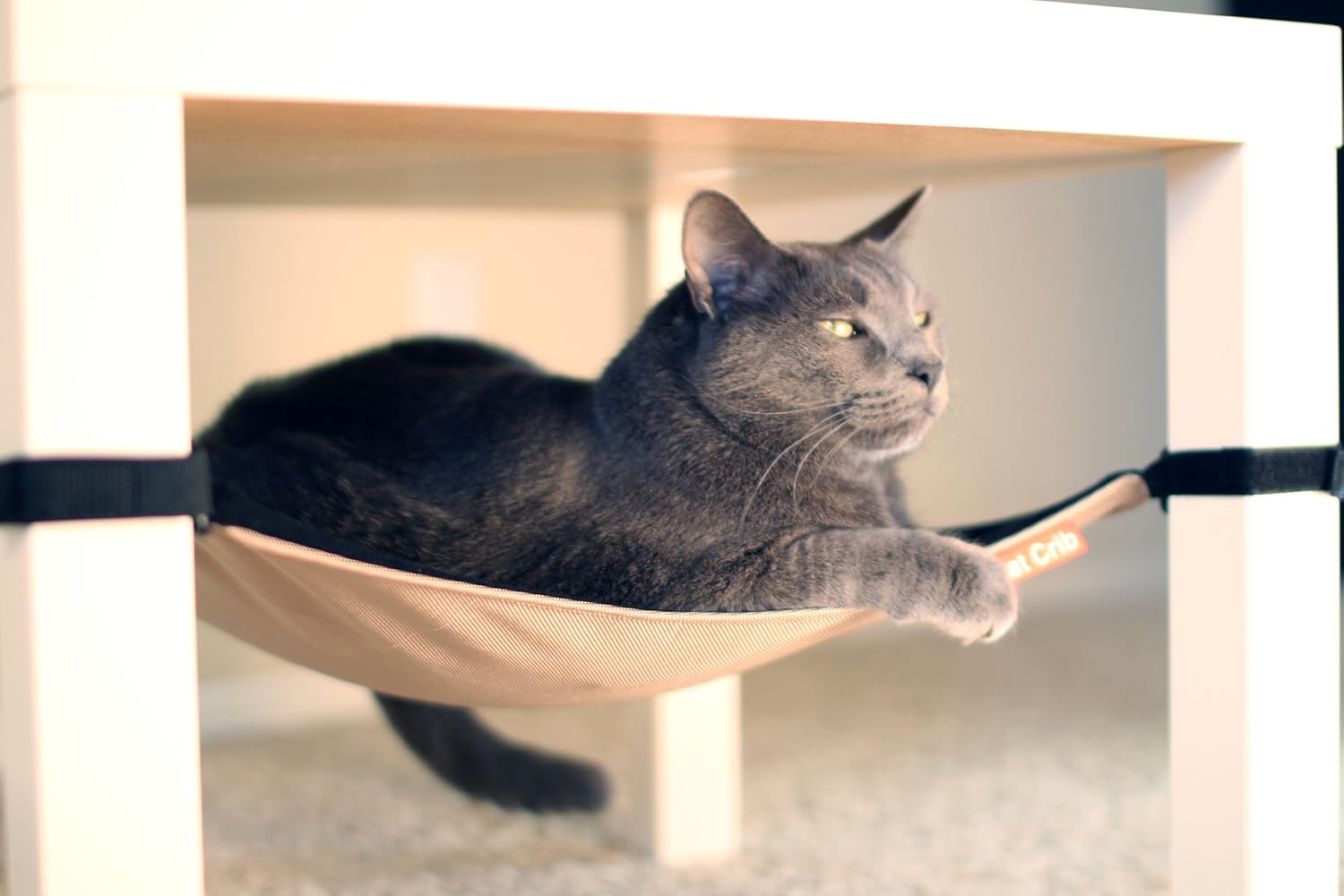 cat crib hammock