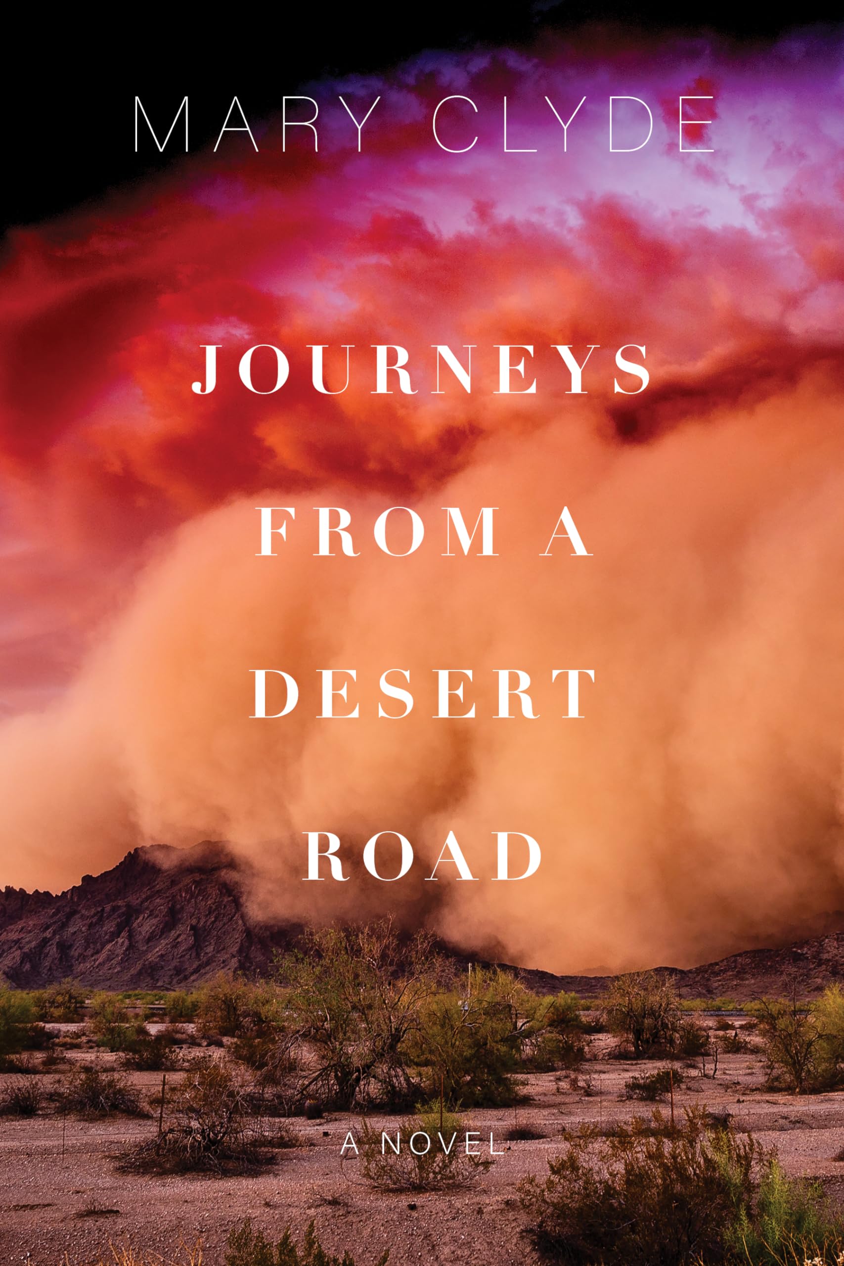 Cover of Journeys from a Desert Road