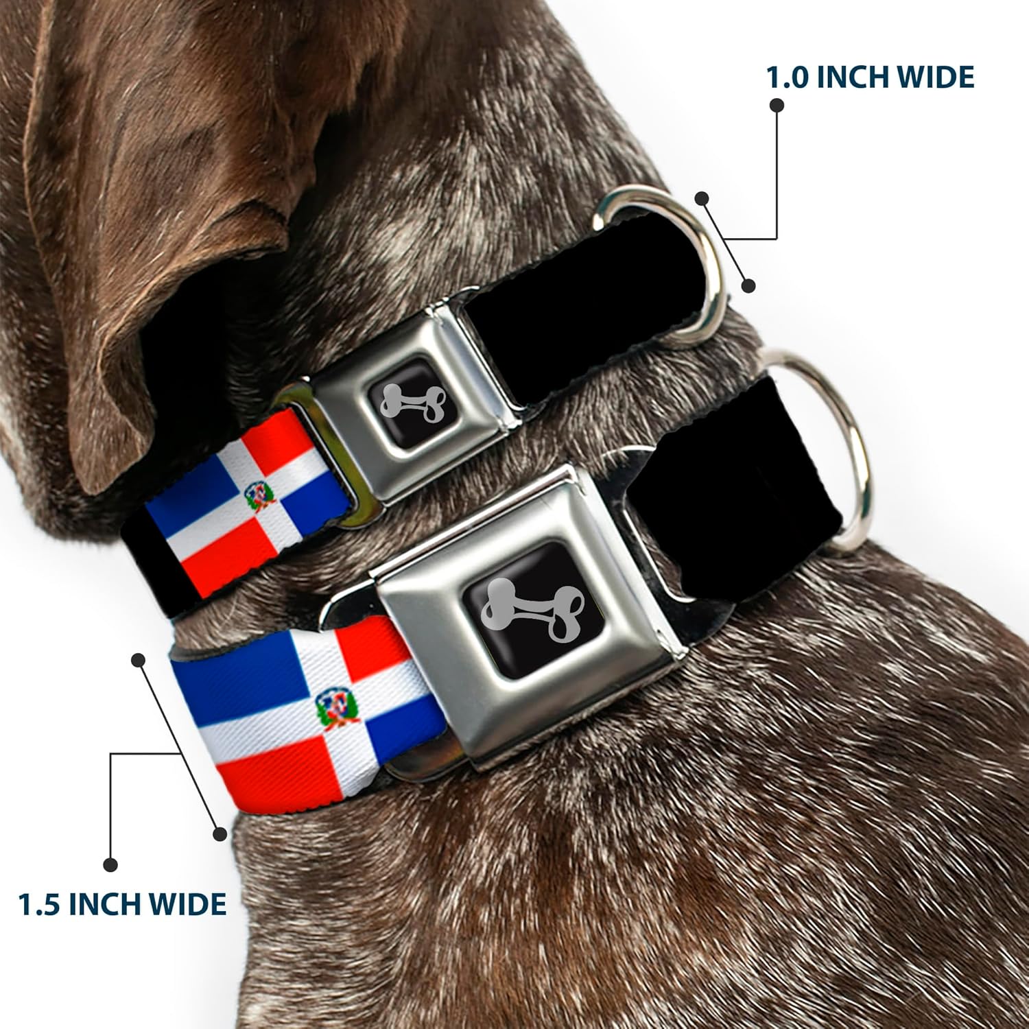 Dog Collar Seatbelt Buckle Dominican Republic Flags Black Blocks 11 to 17 Inches 1.0 Inch Wide