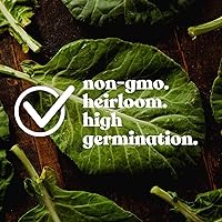 Vista 5 de Organic Crimson Clover Seeds - 1 lb ~46,400 Seeds - Legume Clover Seeds for Cover Crops, Wildlife Forage, Pasture, Hay, Pollinator Attractant, Green