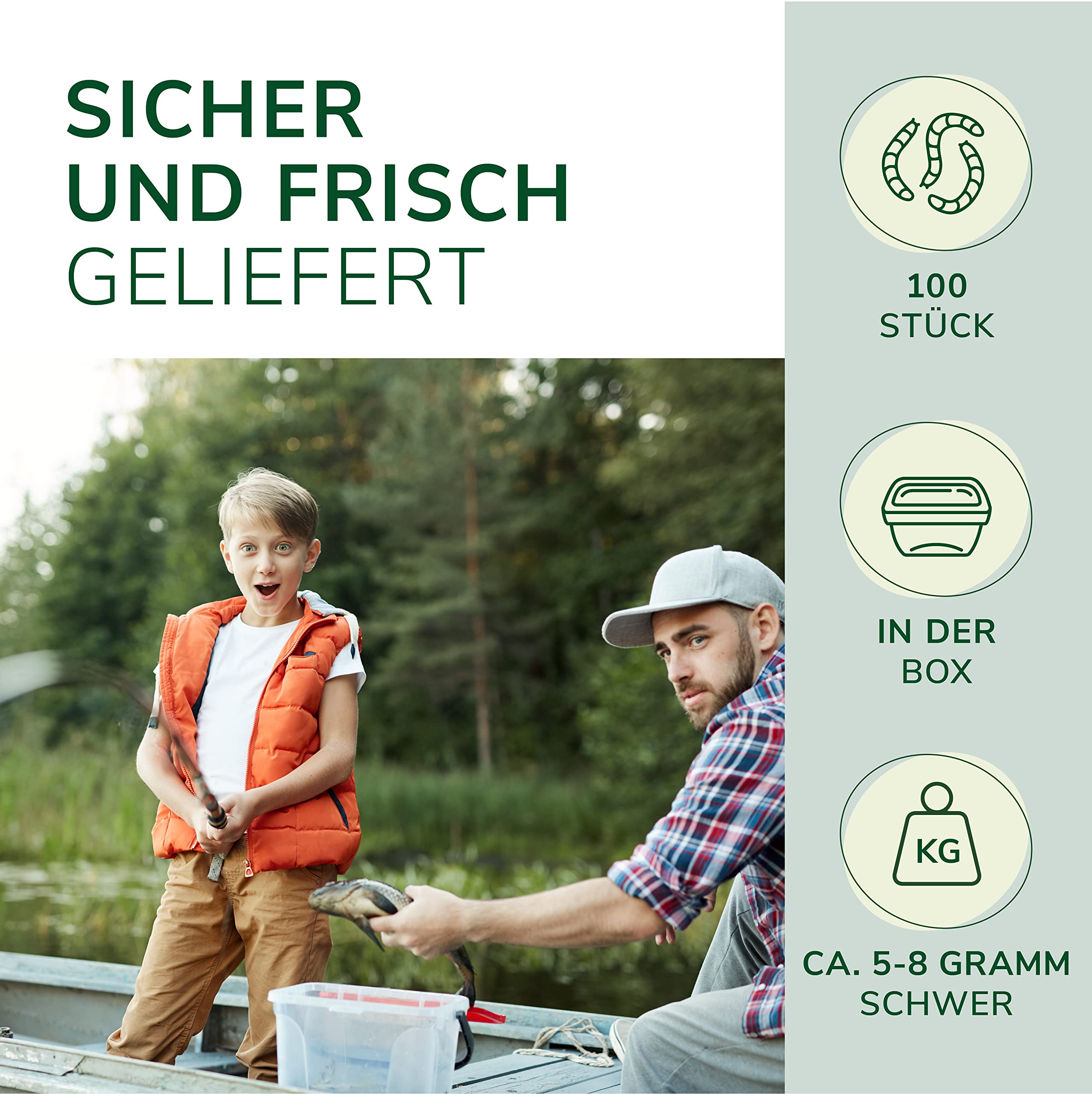 Natursache Tauwürmer lebend/Box I Lebender Angelköder für Wels, Forelle, Lachs, Aal, Zander, Hecht, Karpfen & alle Anderen Arten von großen Weißfischen I Ideales Zubehör für Angler