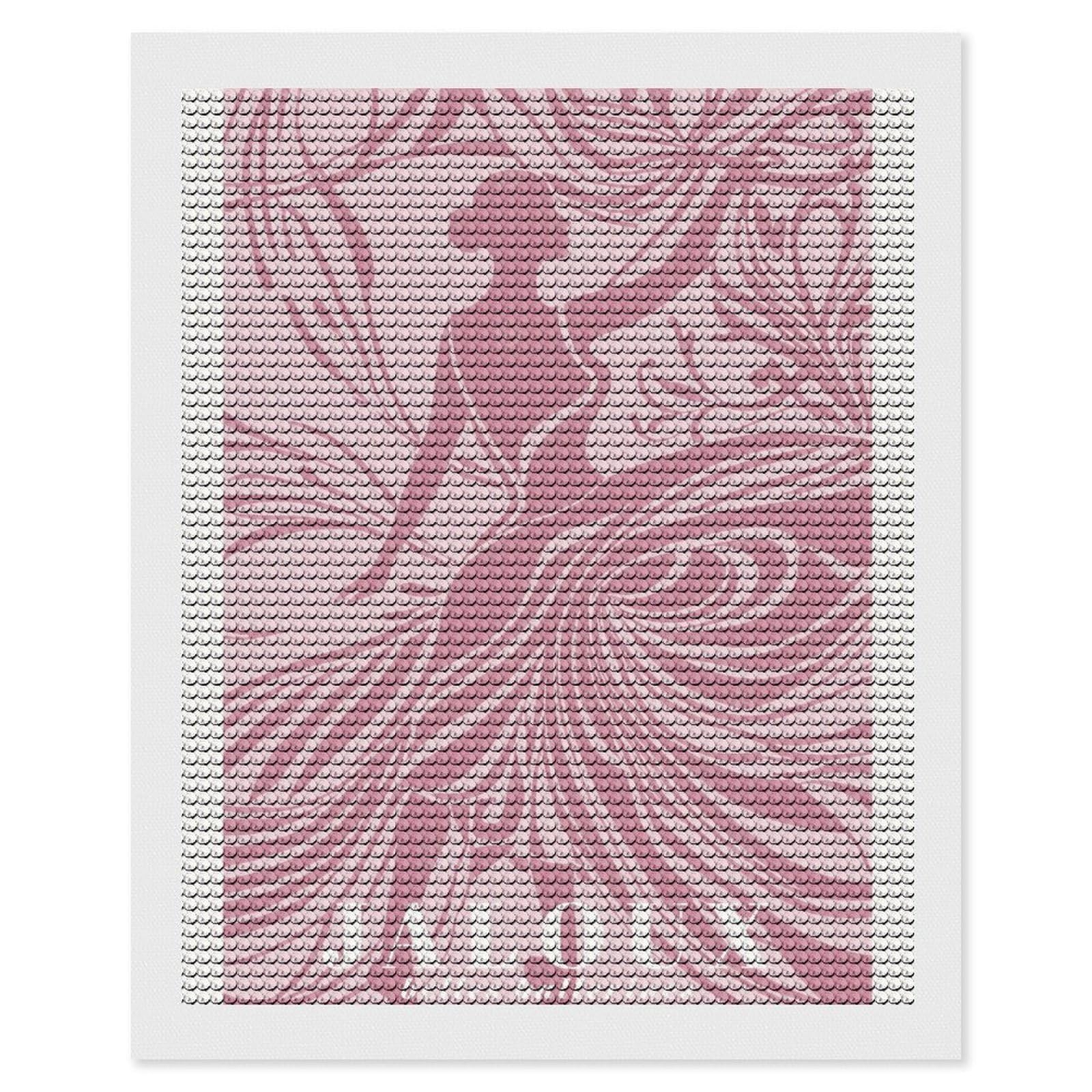 Junmoney Pink Ballet Diamond Painting Set 16"x20", Full Kit Included, Sparkling Round Gems, Farmhouse Decor, Festive Craft Gift