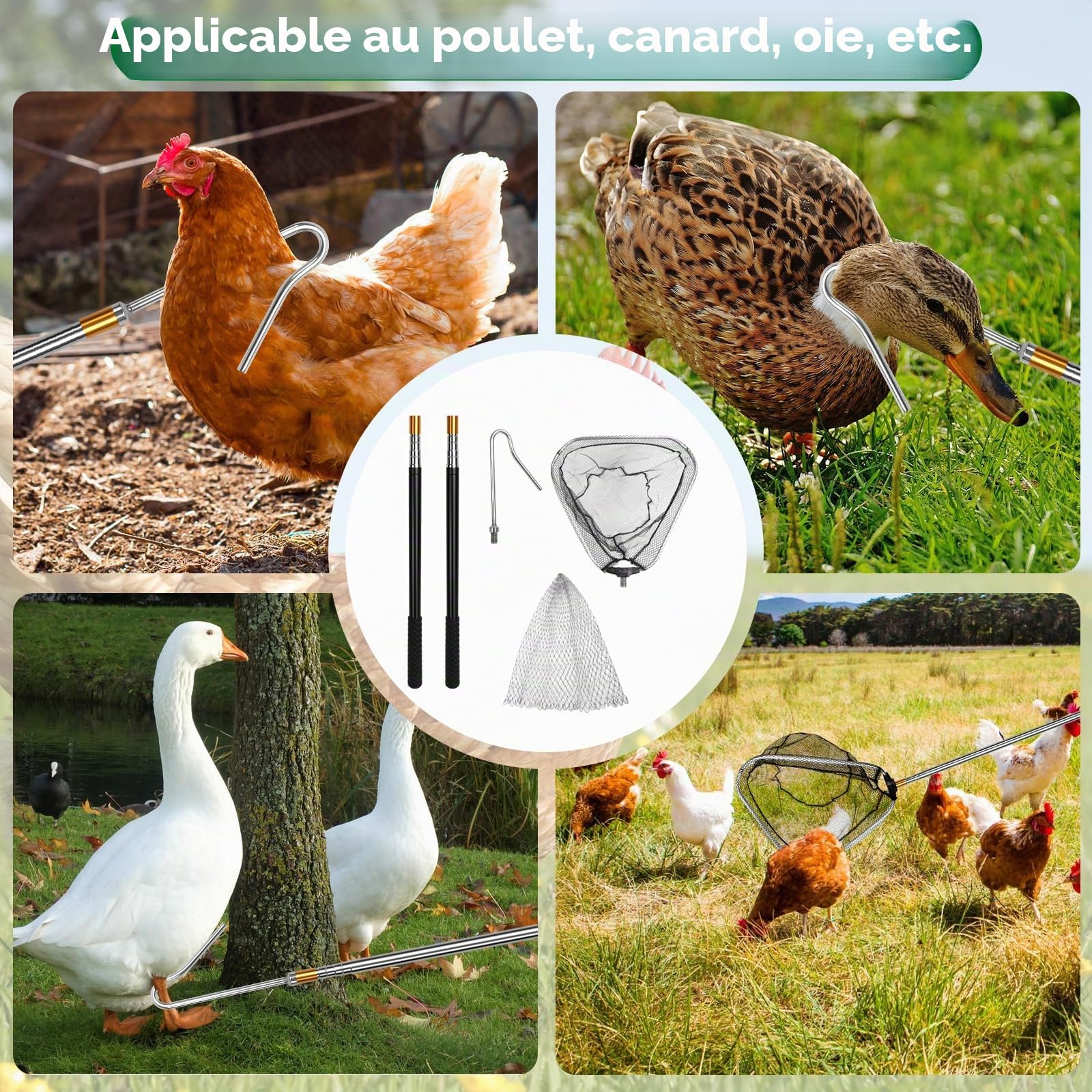 Kit de filet de pêche évolutif pour volaille, crochets et filet de pêche rétractables pour volailles(145cm de longueur extensible), pour Dinde, Oie, Canard, Oiseaux, Petits Animaux et Poissons